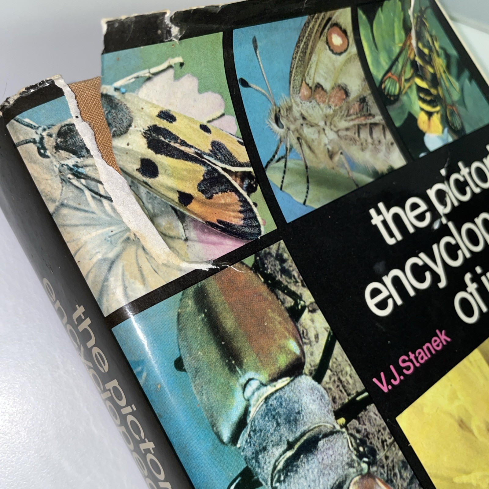 The Pictorial Encyclopedia Of Insects Stanek Vintage 1972 HC DJ