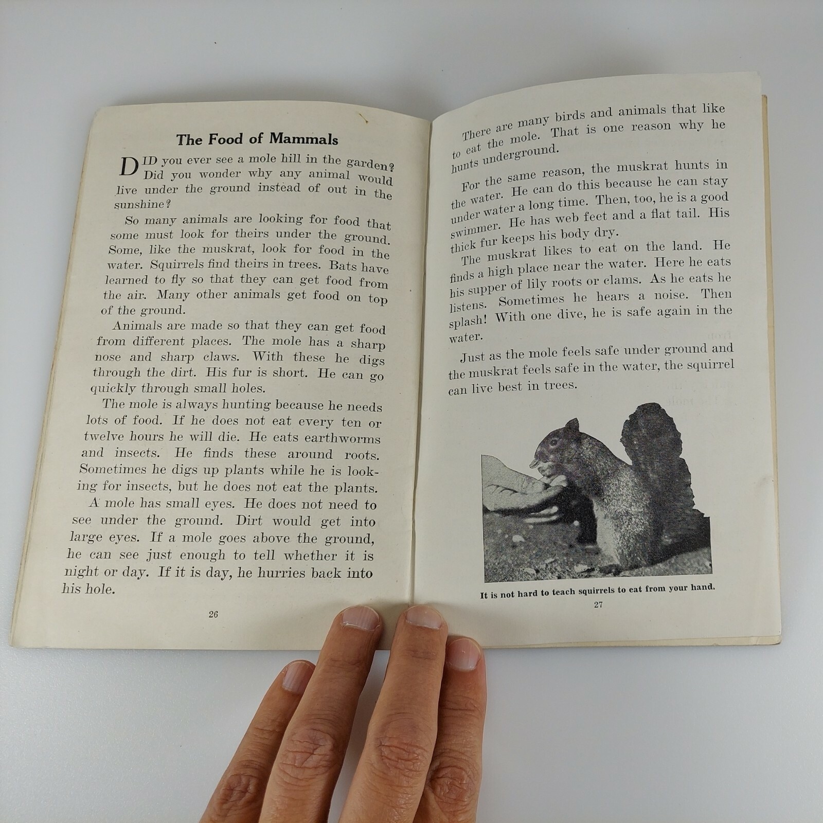 What Animals Eat, Frances Lacy, Unit Study Book No. 355, 1943 Education Book
