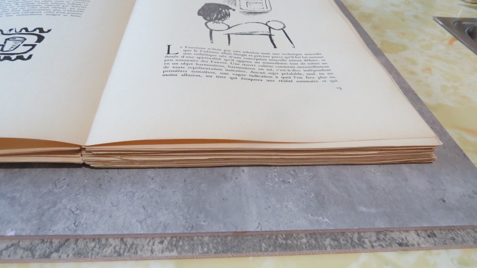 Peintres Du XXe Siecle par Maurice Raynal-FRENCH ART BOOK