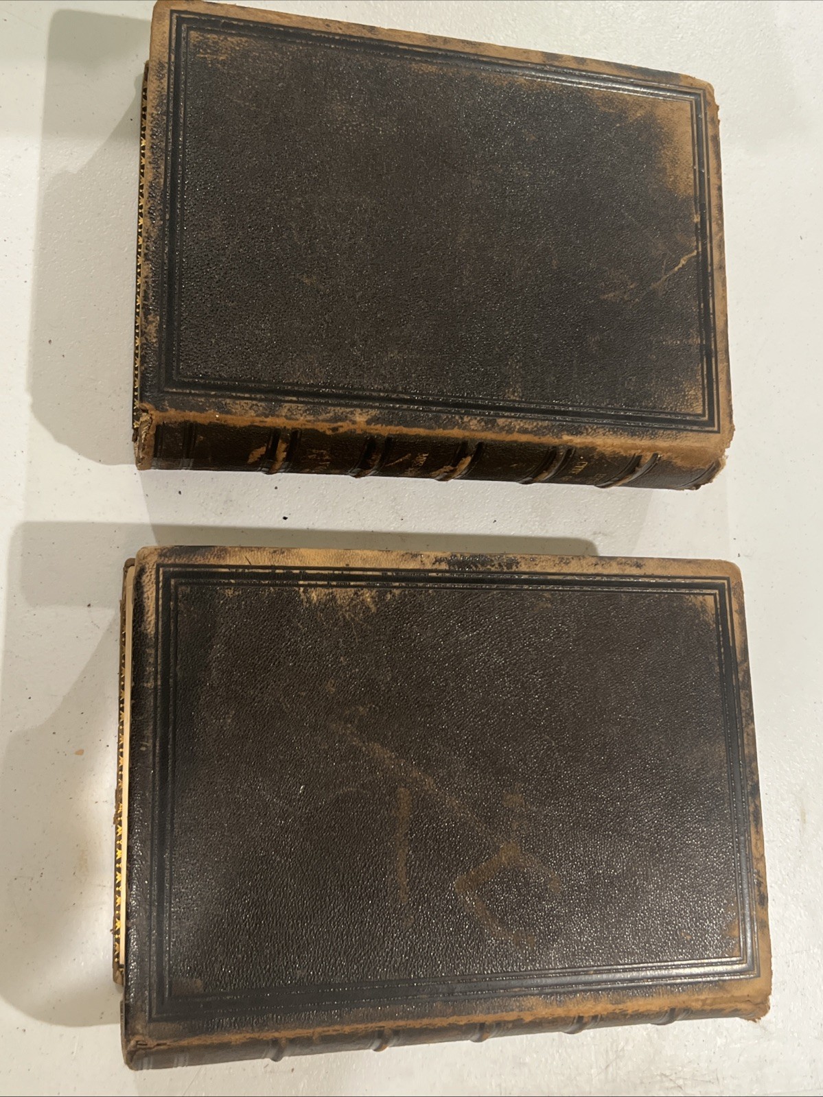 Both Signed “History Of The City Of New York VoI & II” 1877 LAMB, Martha J. Rare