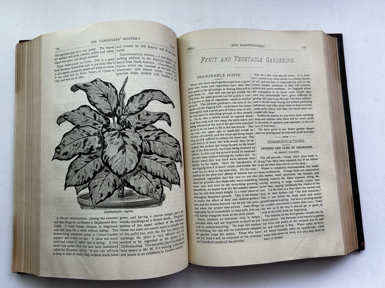 1884 – 86 The Gardeners’ Monthly & Horticulturist Thomas Meehan 23 Issues Bound