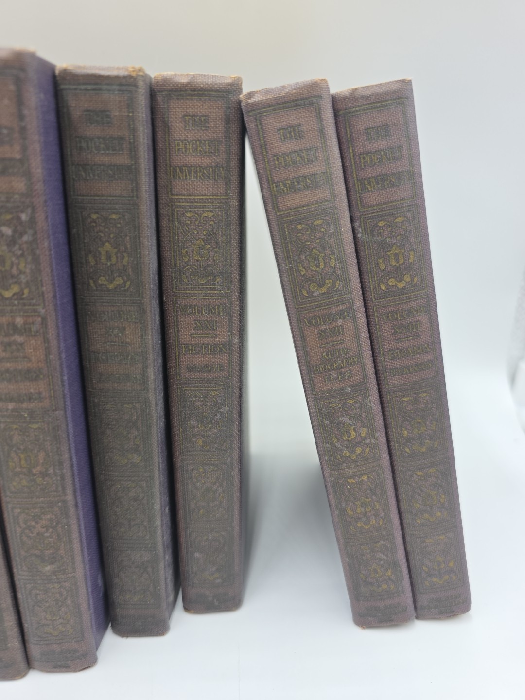 1924 Books The Pocket University Doubleday 17 Volumes