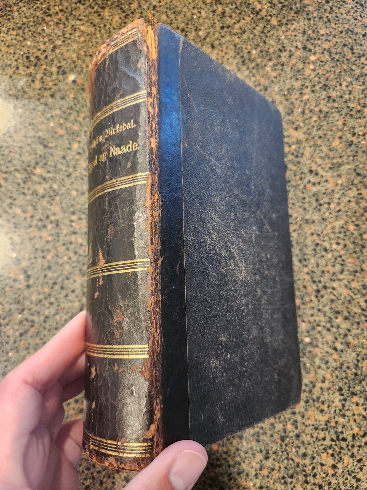 1869 Vilhelm Birkedal Synd og Naade DUTCH VINTAGE RARE BIBLE ONE OF A KIND #Y