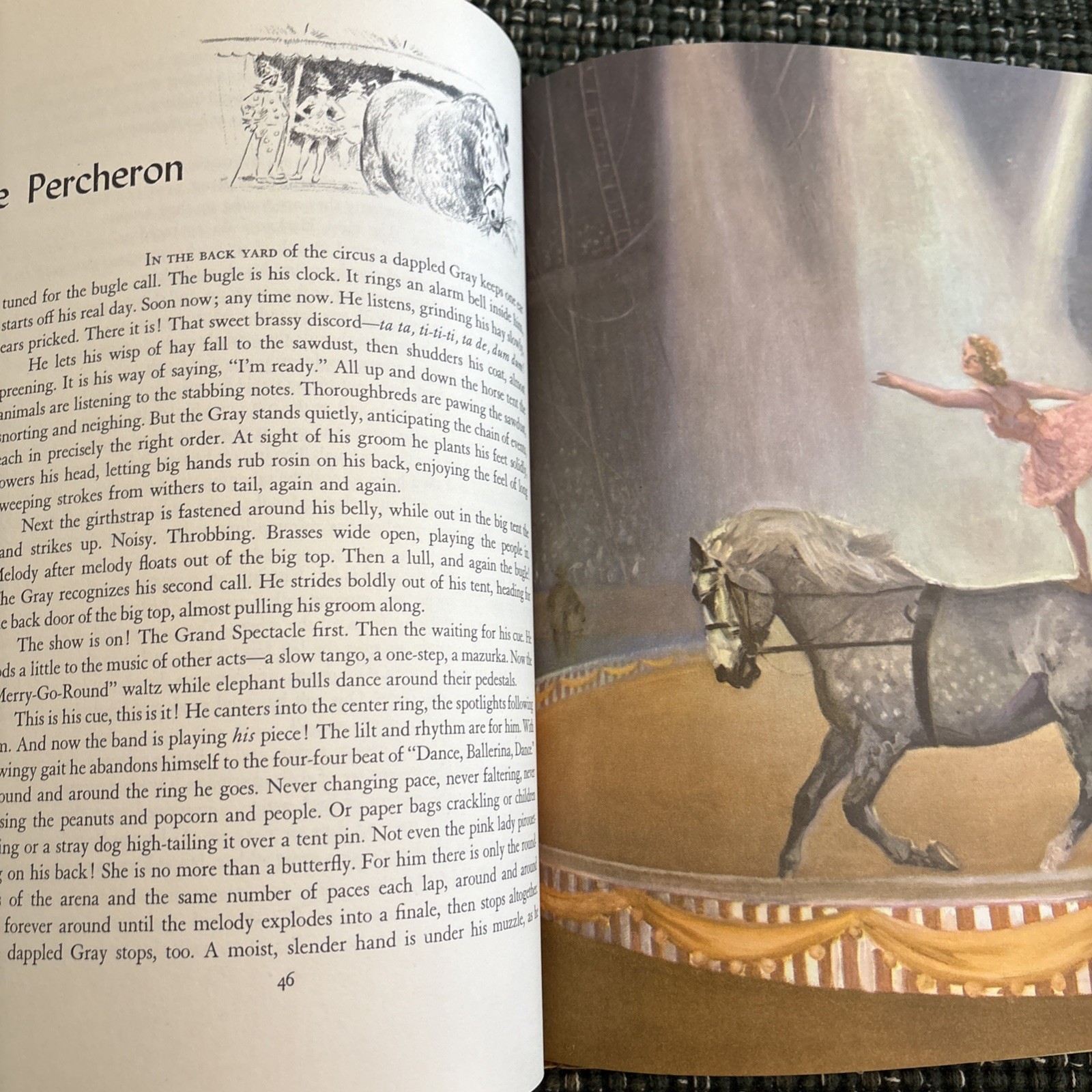 SIGNED Marguerite Henry “Album of Horses” – 1961, Hardcover, Illustrated