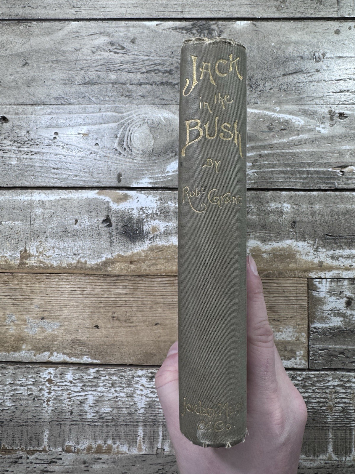 1892 Antique Juvenile Fiction “Jack in the Bush” Illustrated