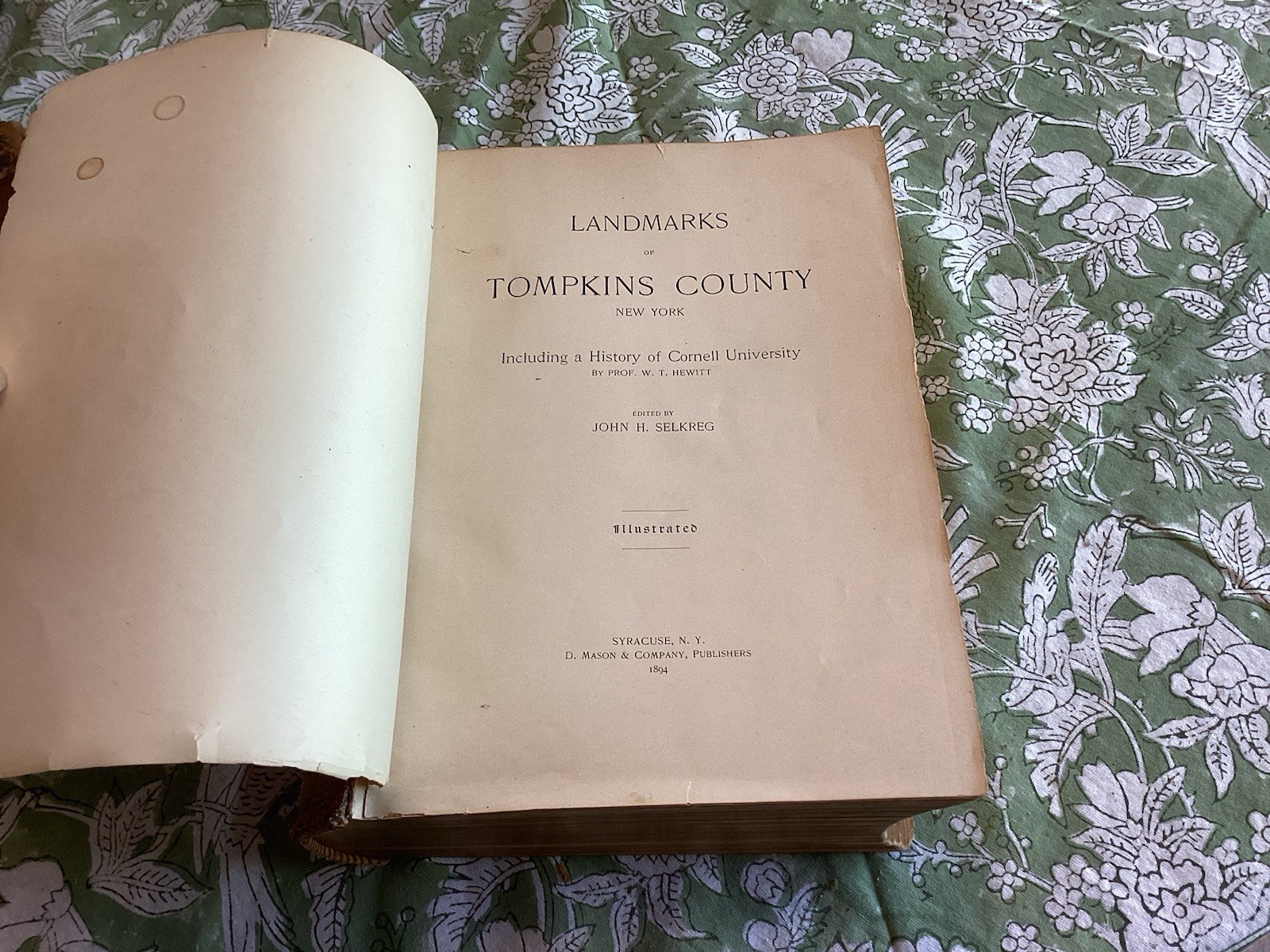 1894 Landmarks Tompkins County W/History Cornell University New York NY Illustra