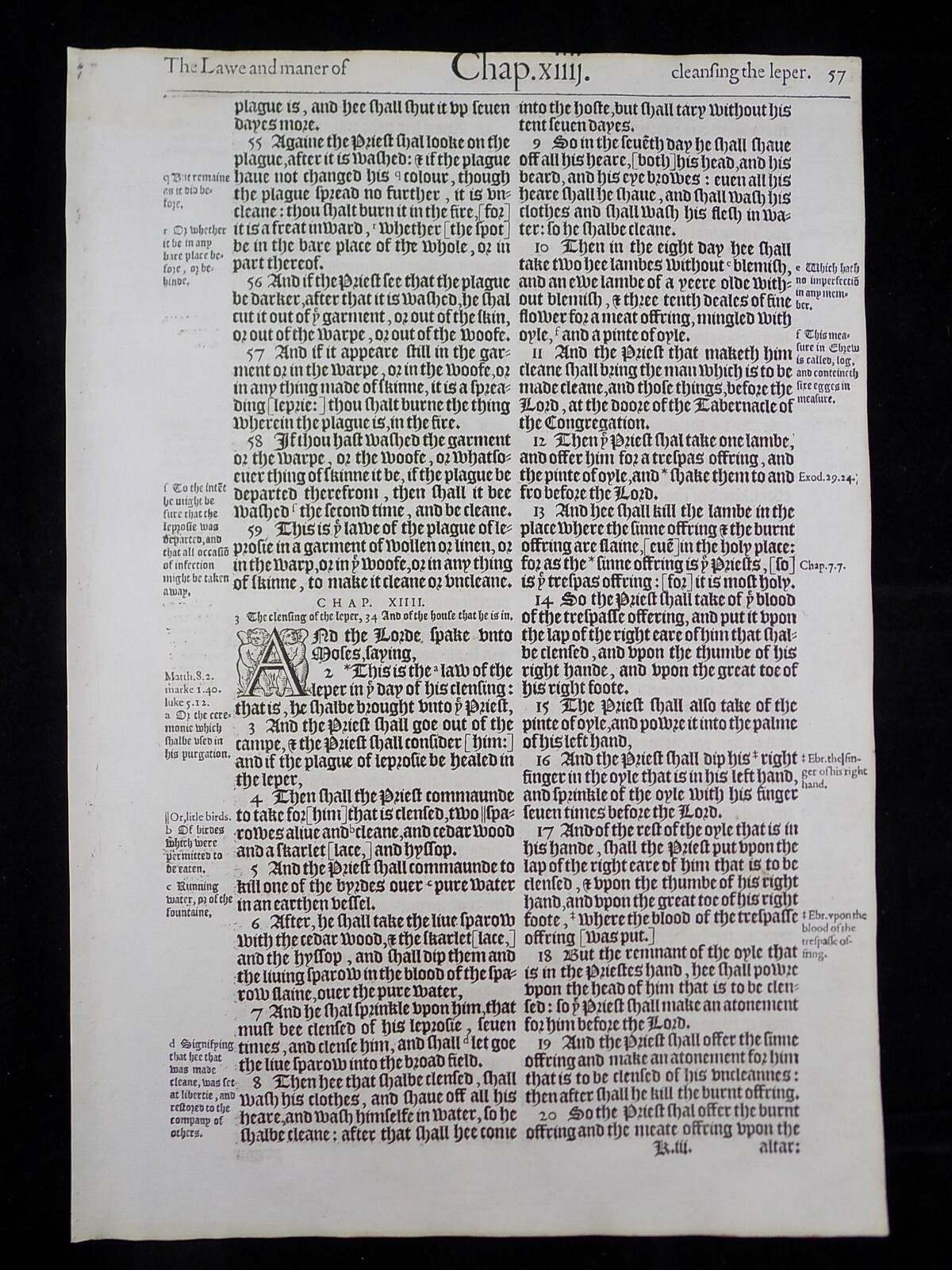 1583 Noblest Geneva Bible Folio- Book of Leviticus Leaves- YOU PICK