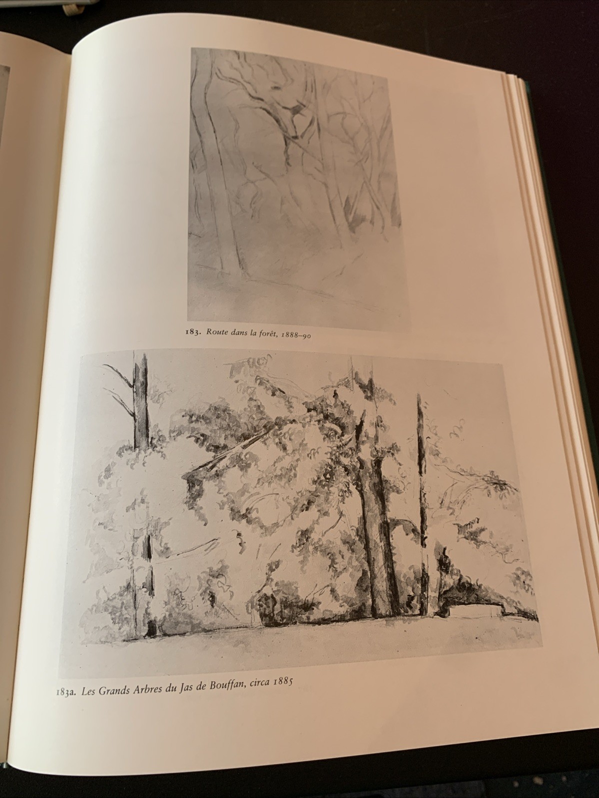 Paul Cézanne The Watercolours- 1983 1ST EDITION HB WITH SLIP CASE