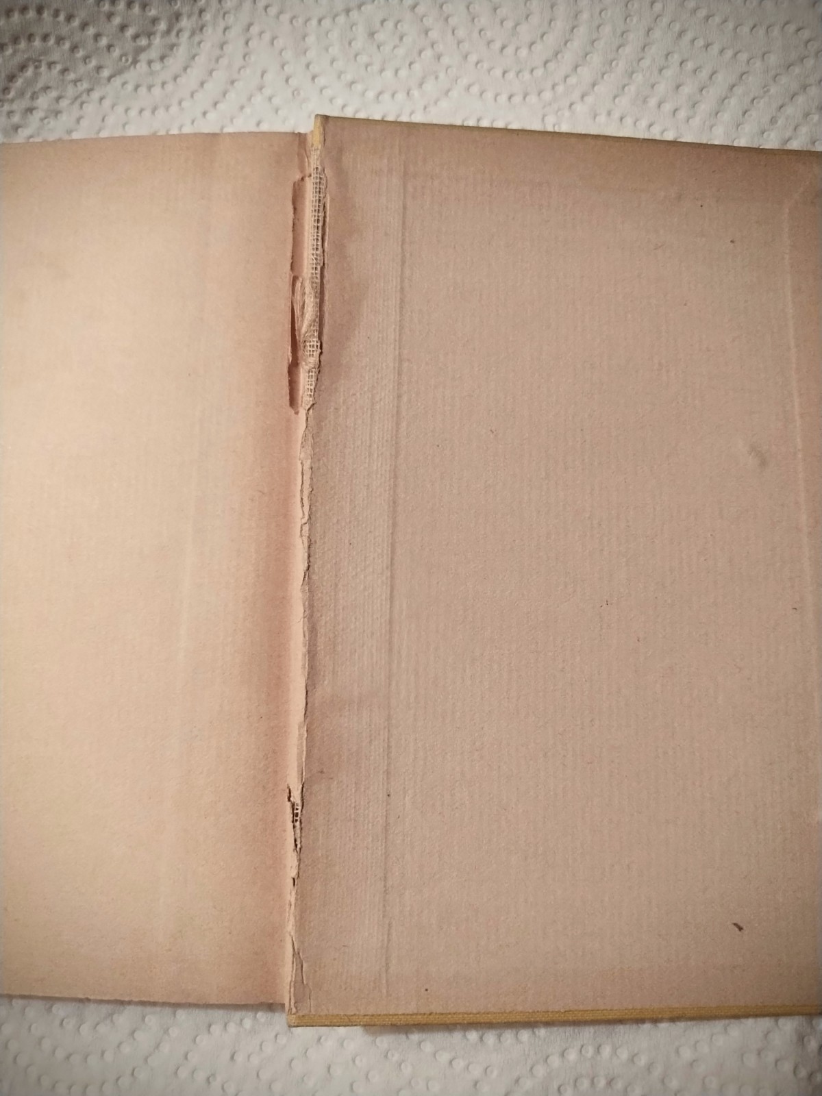 1884 Scribners Stories by American Authors Vol. IV signed By Louise Jerome