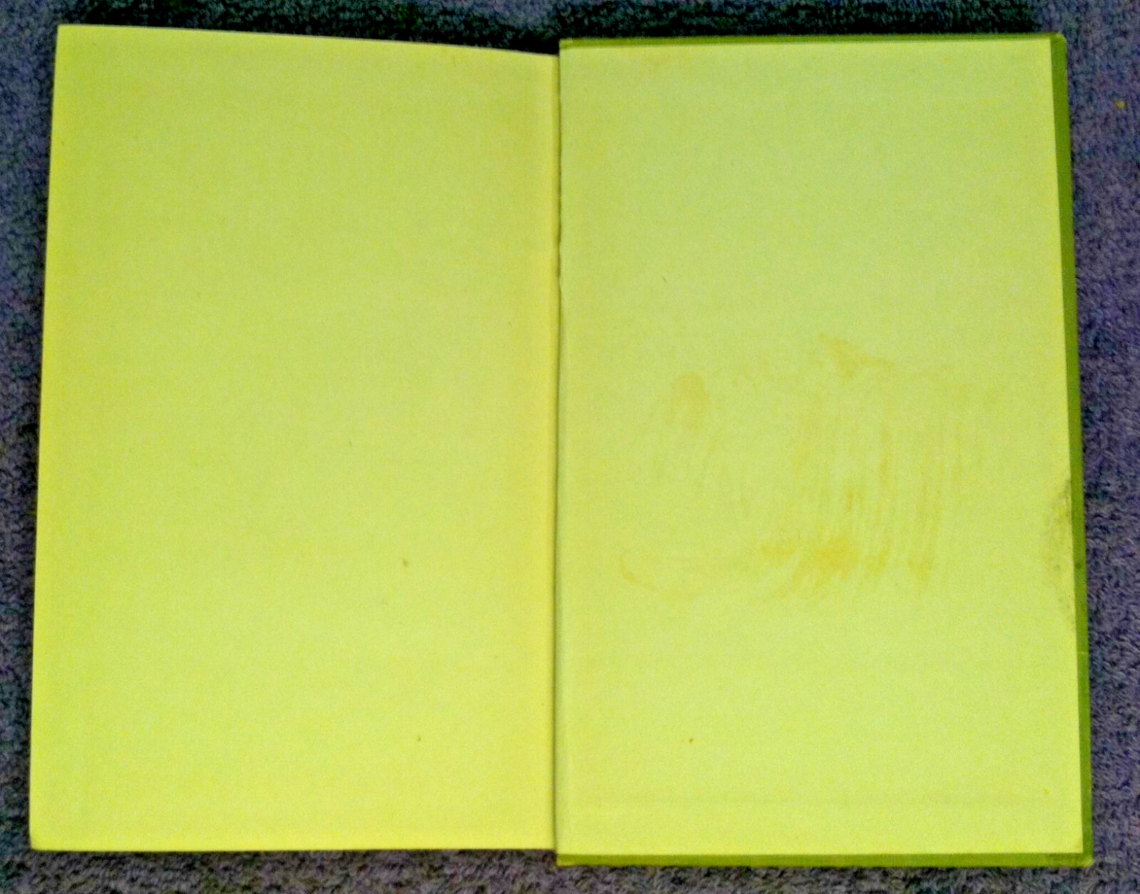 1919 🔥ANDREW JACKSON🔥 The Reign of HC Book *Yale University Press* ex Library