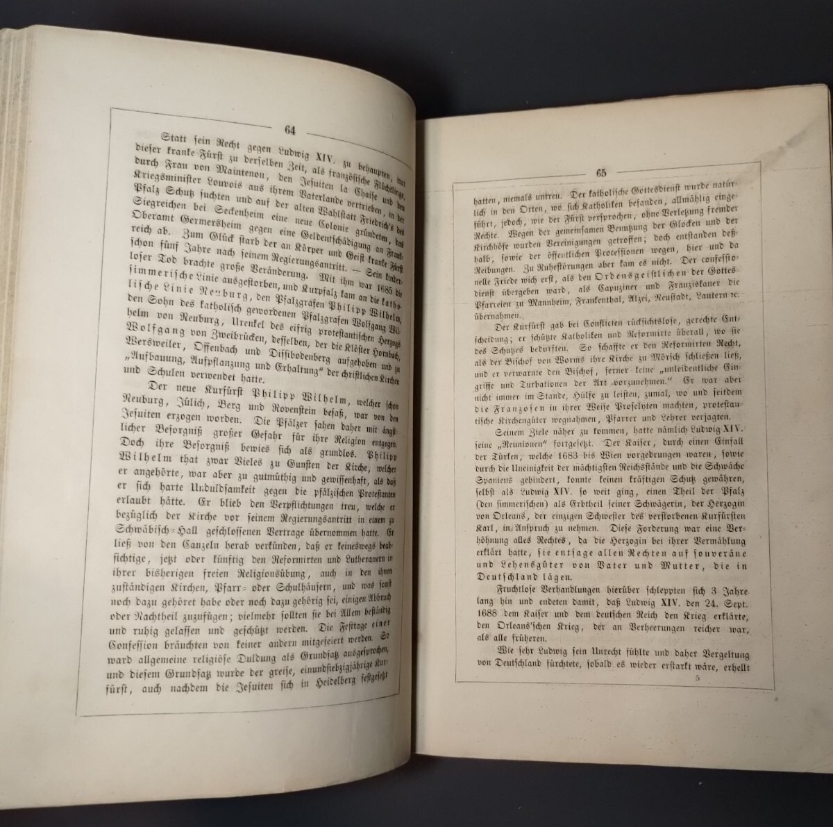 Palatinate At Rhine Rhein Pfalz Illus. Antique, Decorative Hardcover Book 1850’s