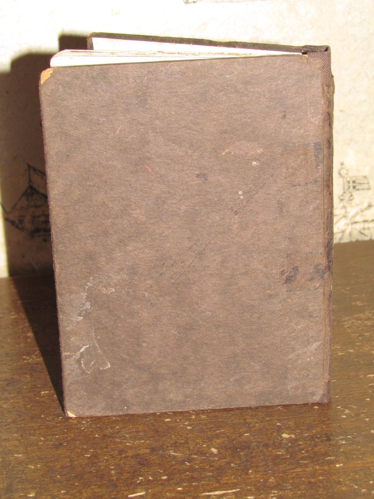 1907 BEATRIX POTTER THE TALE OF PETER RABBIT – very early Frederick Warne ed