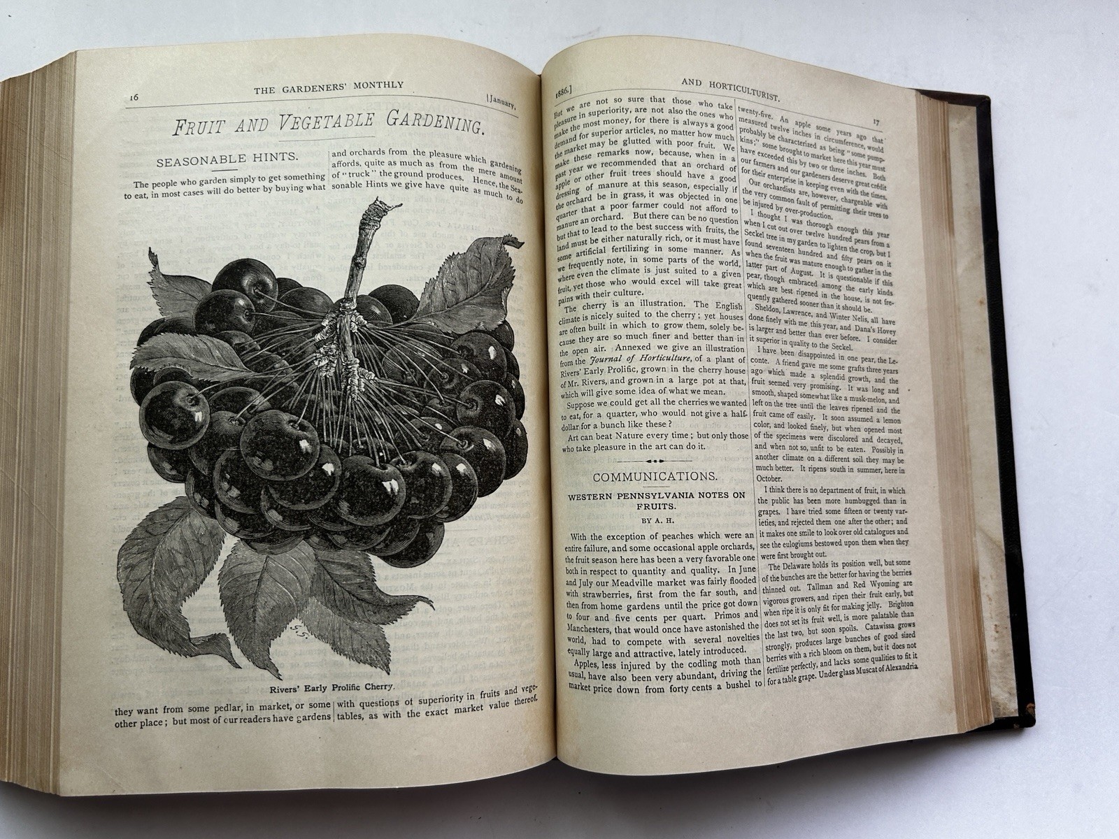 1884 – 86 The Gardeners’ Monthly & Horticulturist Thomas Meehan 23 Issues Bound