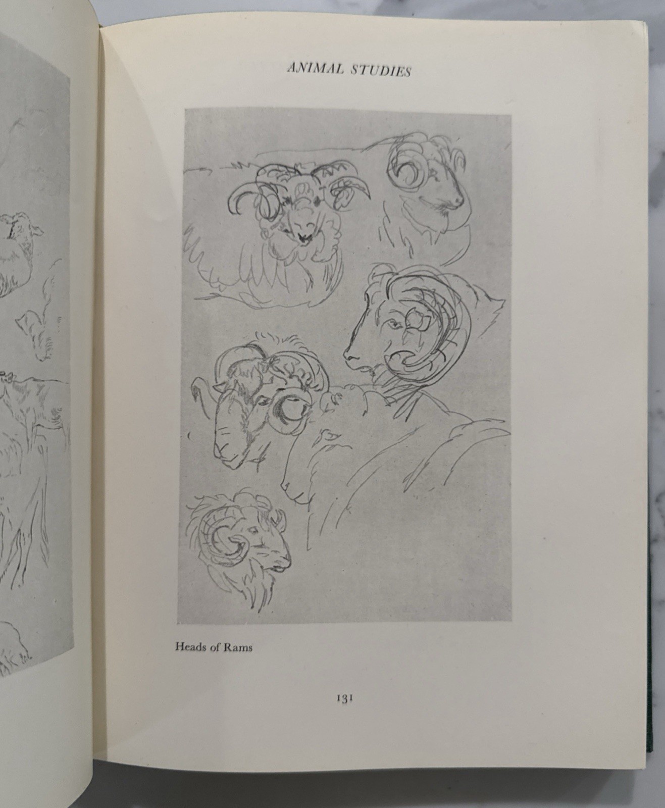 The Art of Beatrix Potter (Frederick Warne, Hardcover, Second Edition, 1956)