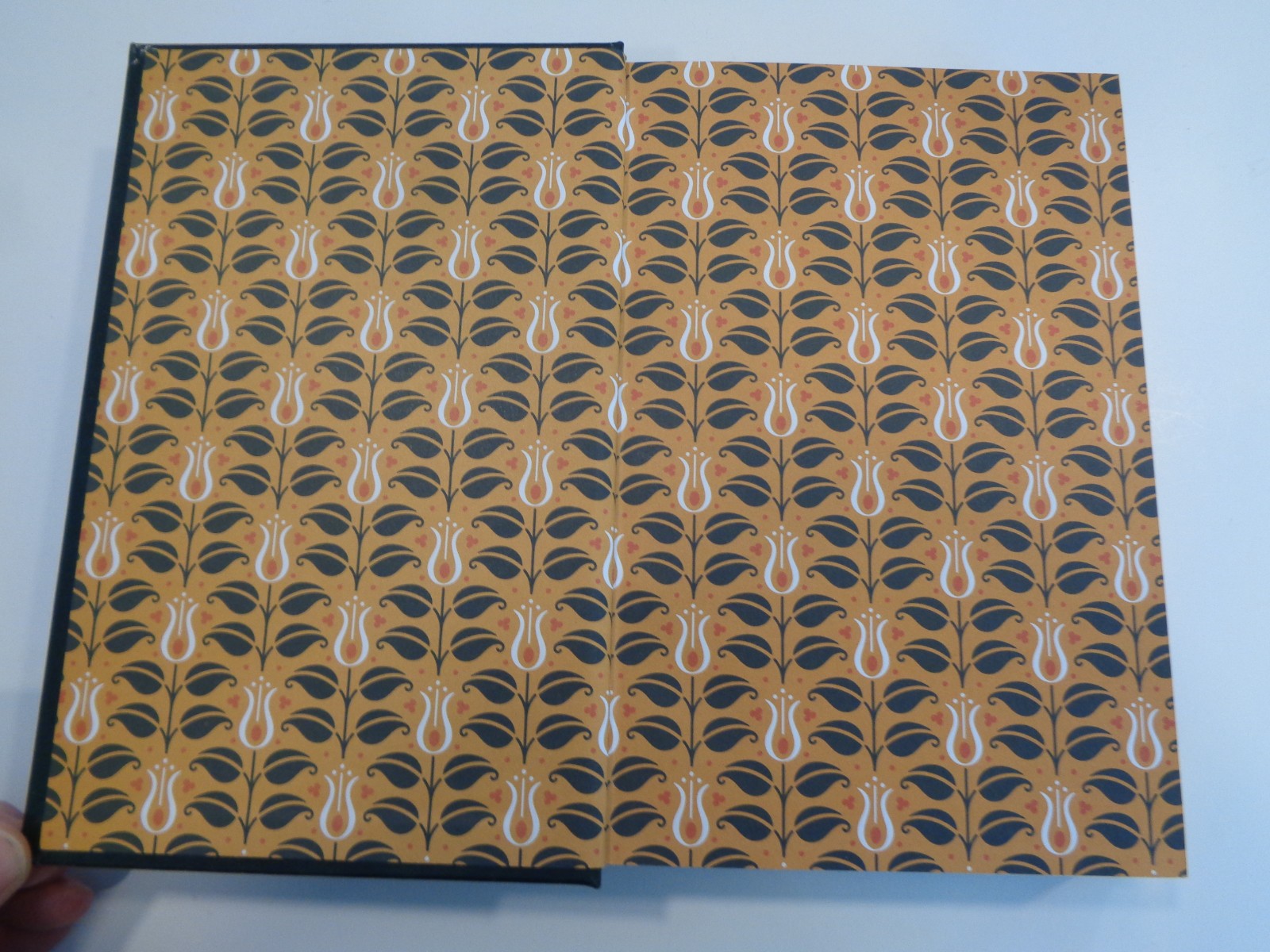 A Treasury of Irish Literature (Barnes & Noble Omnibus Leatherbound Classics) VG