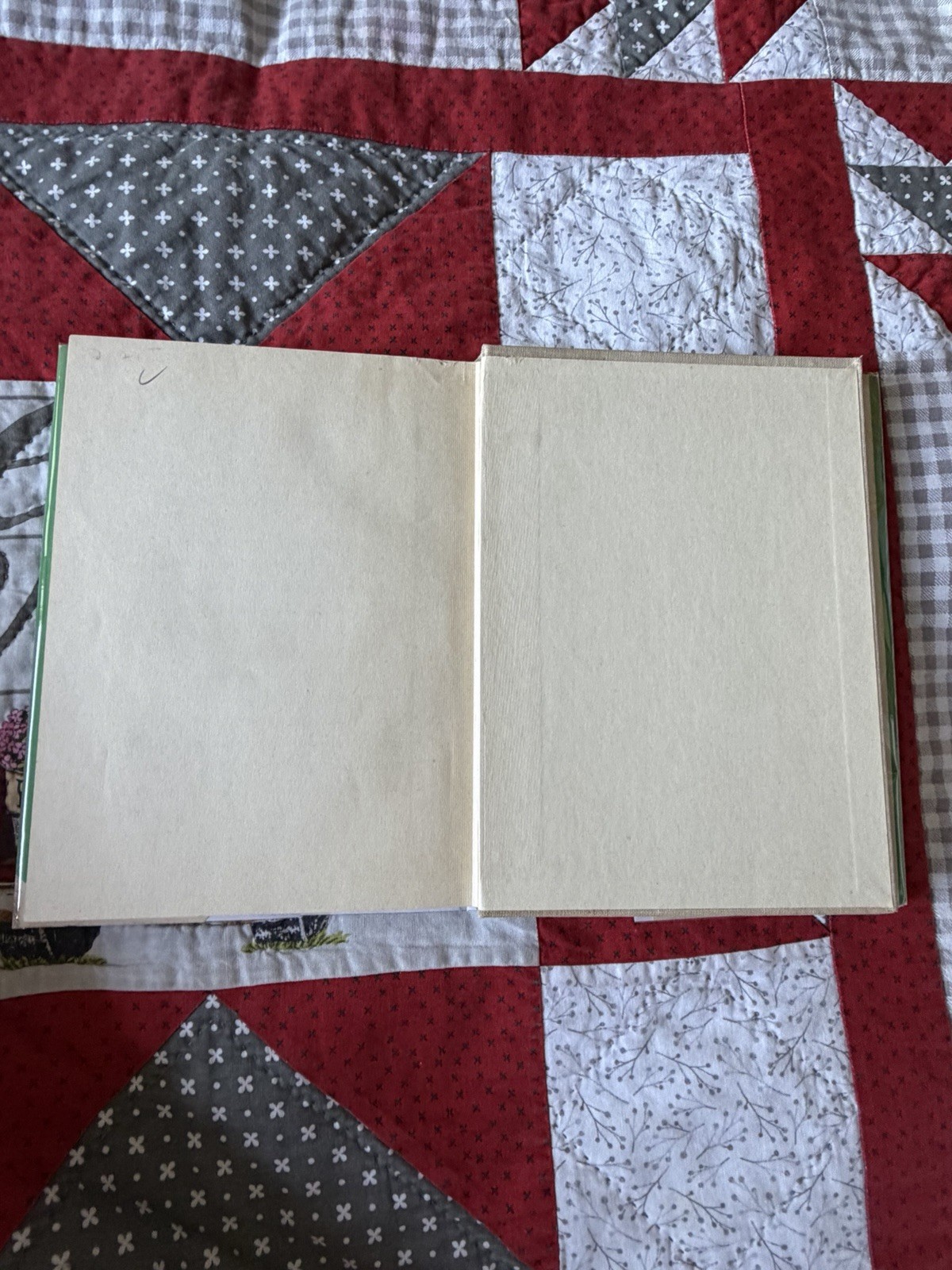 Benjamin Lucky, Miriam E. Mason, 1956 1st Printing Vintage Children’s, DJ/HC