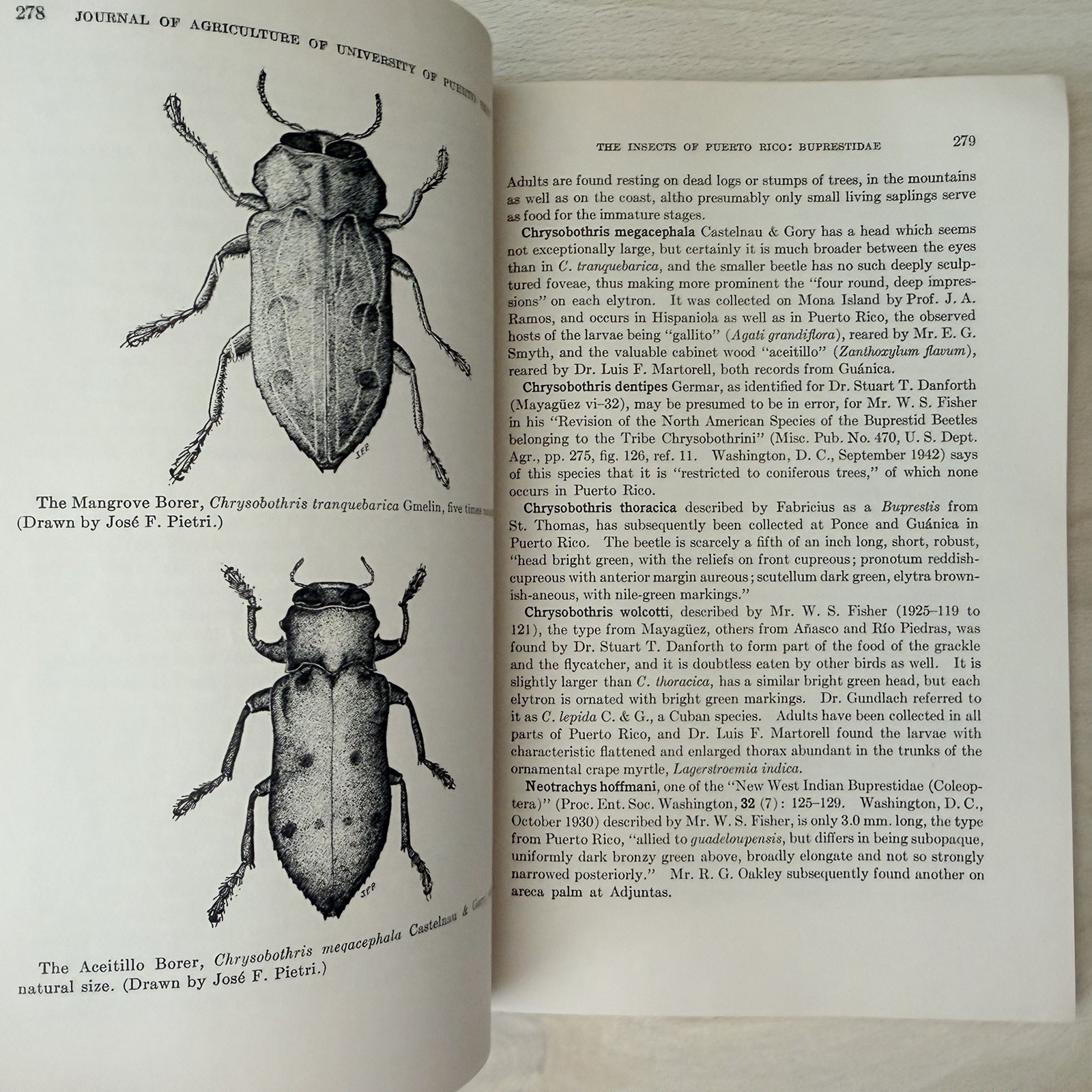 1948 University Puerto Rico Agriculture INSECTS George WOLCOTT Vol 32 No. 2