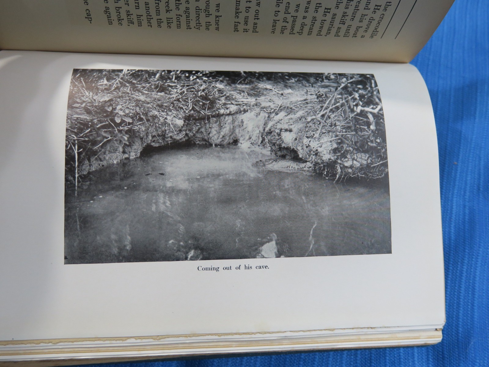 Signed Florida Enchantments, 1915 Revised Ed Photo Illus. Travel, A. W. Dimock