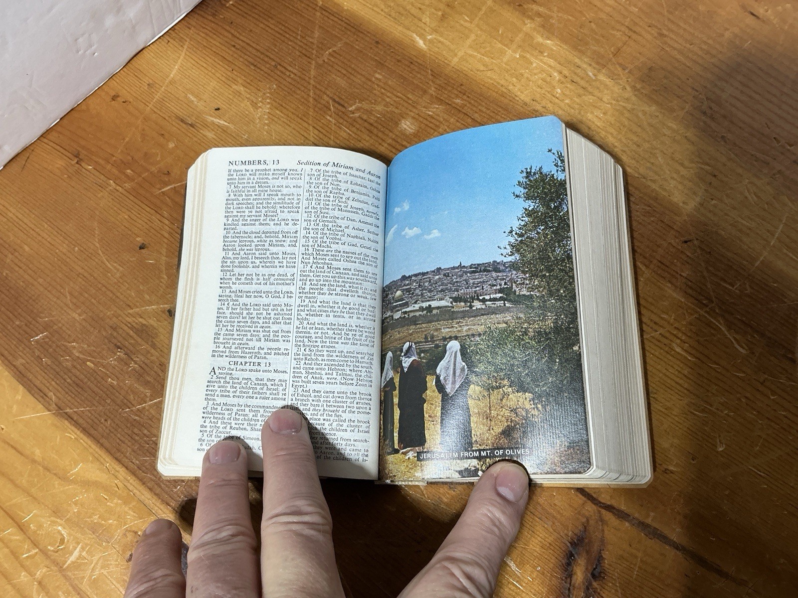 KJV Holy Bible Jerusalem olive wood Cover Collins Clear-type UNUSED ILLUSTRATED