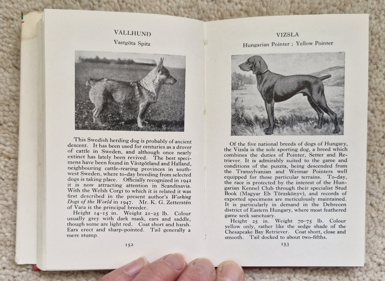 The Observer’s Book Of Dogs by Clifford L. B. Hubbard, 1949, Frederick Warne