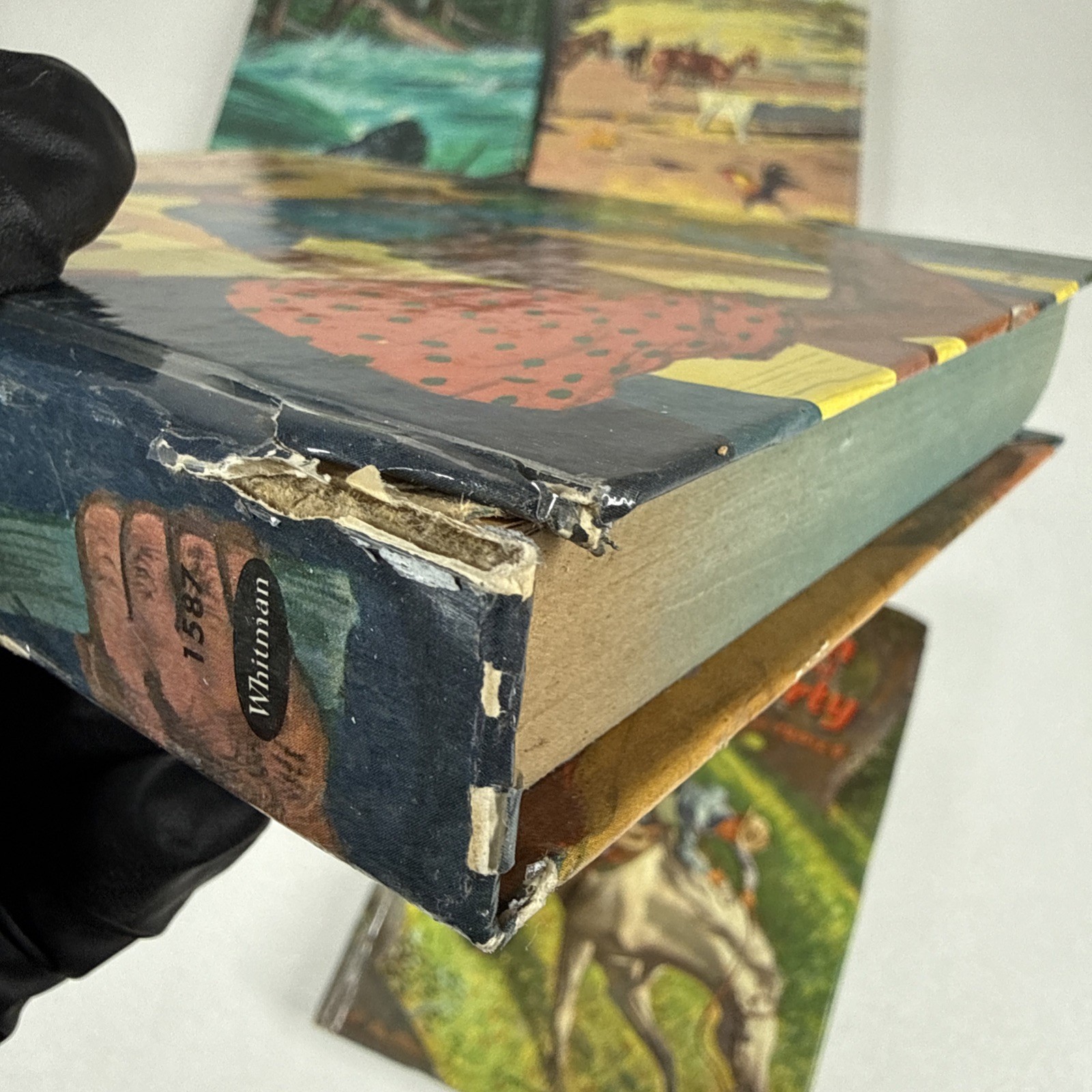 Whitman Adventure Mystery Hardcover Book Lot of 8 Glossy western Horses