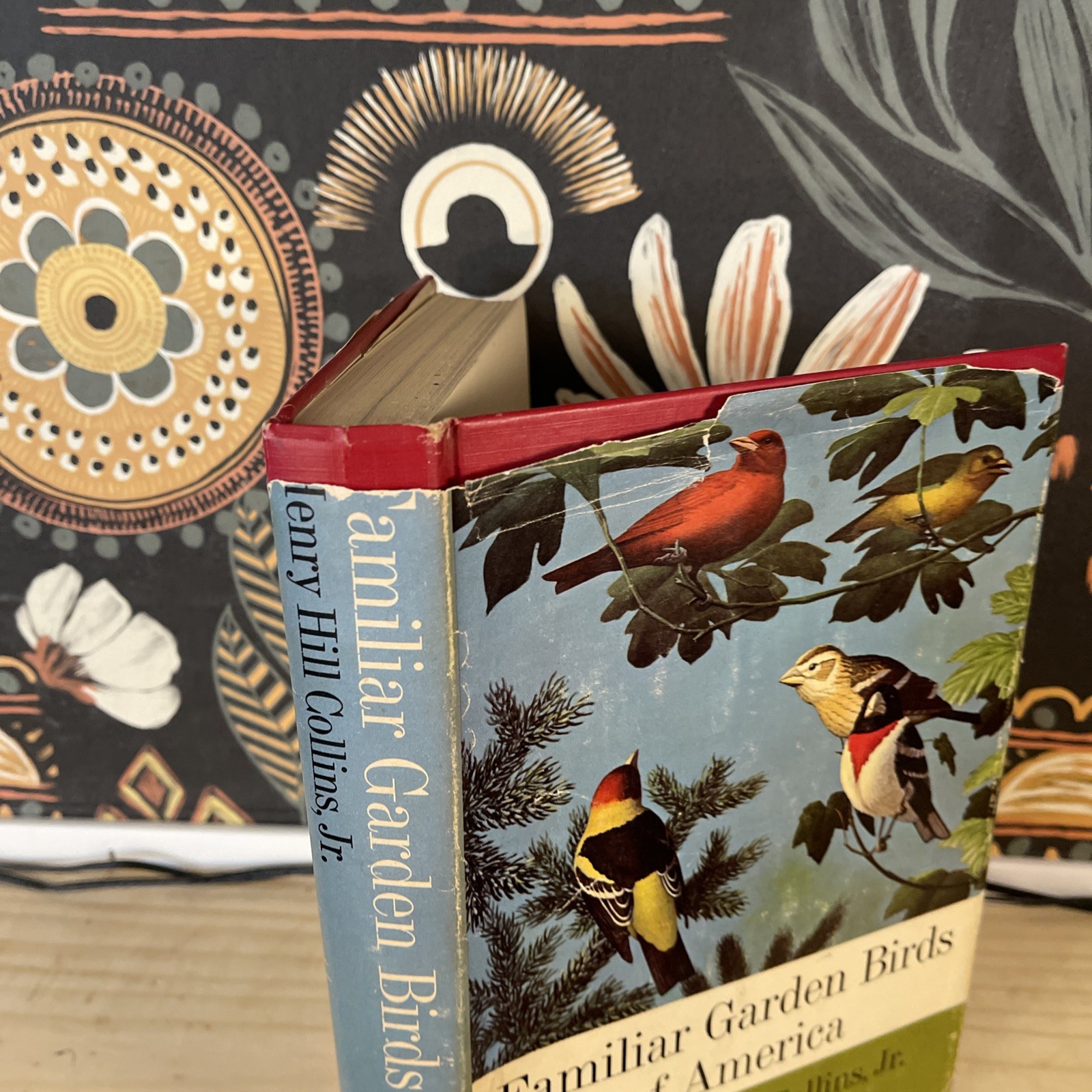 1965 Familiar Garden Birds of America – Collins & Boyajian – Vintage Harper & Ro
