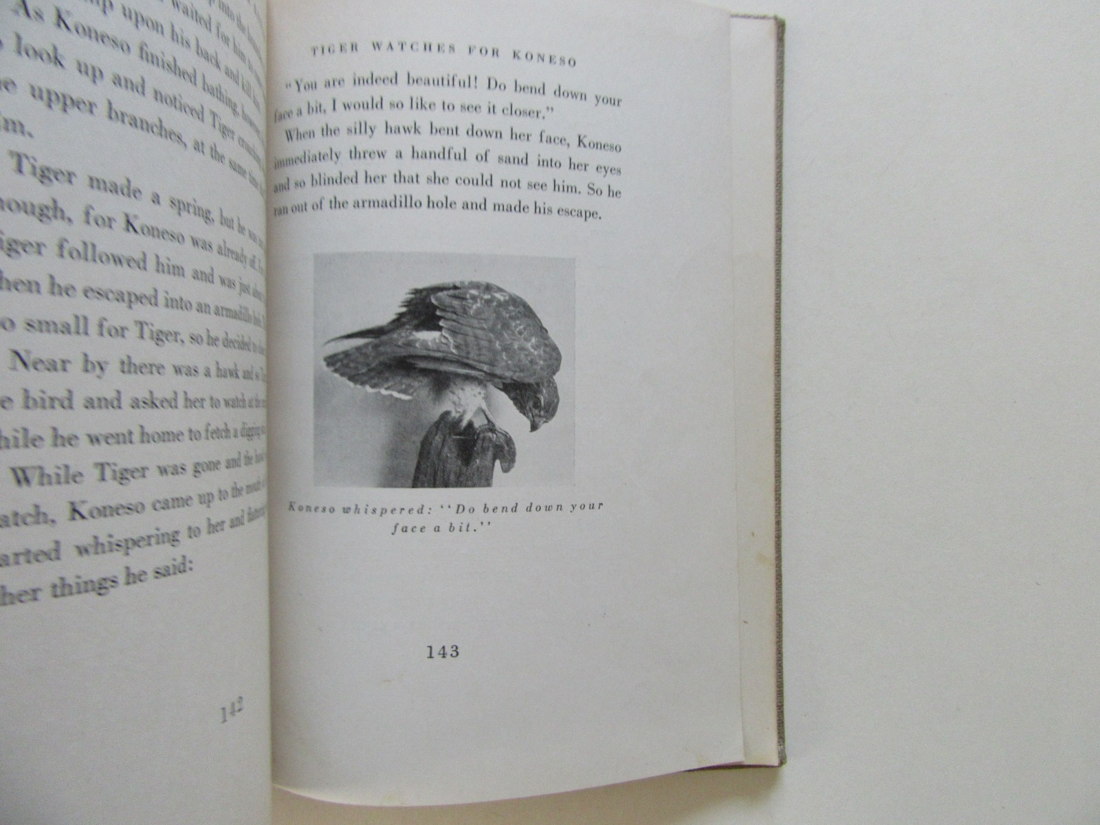 Animal Stories the Indians Told ed. by Elizabeth Bishop Johnson – Knopf, 1927