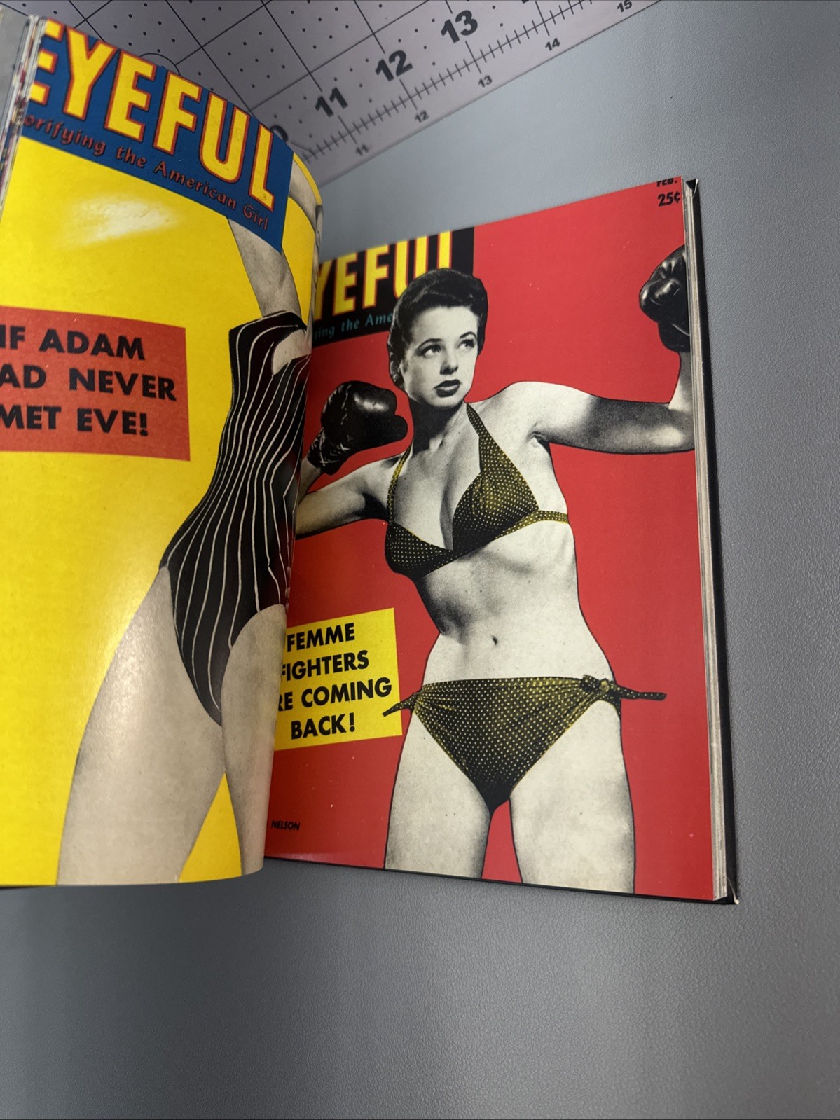 pin-ups TASCHEN ICONS ART BOOK 2002 erotic Vtg adult art betty page Book