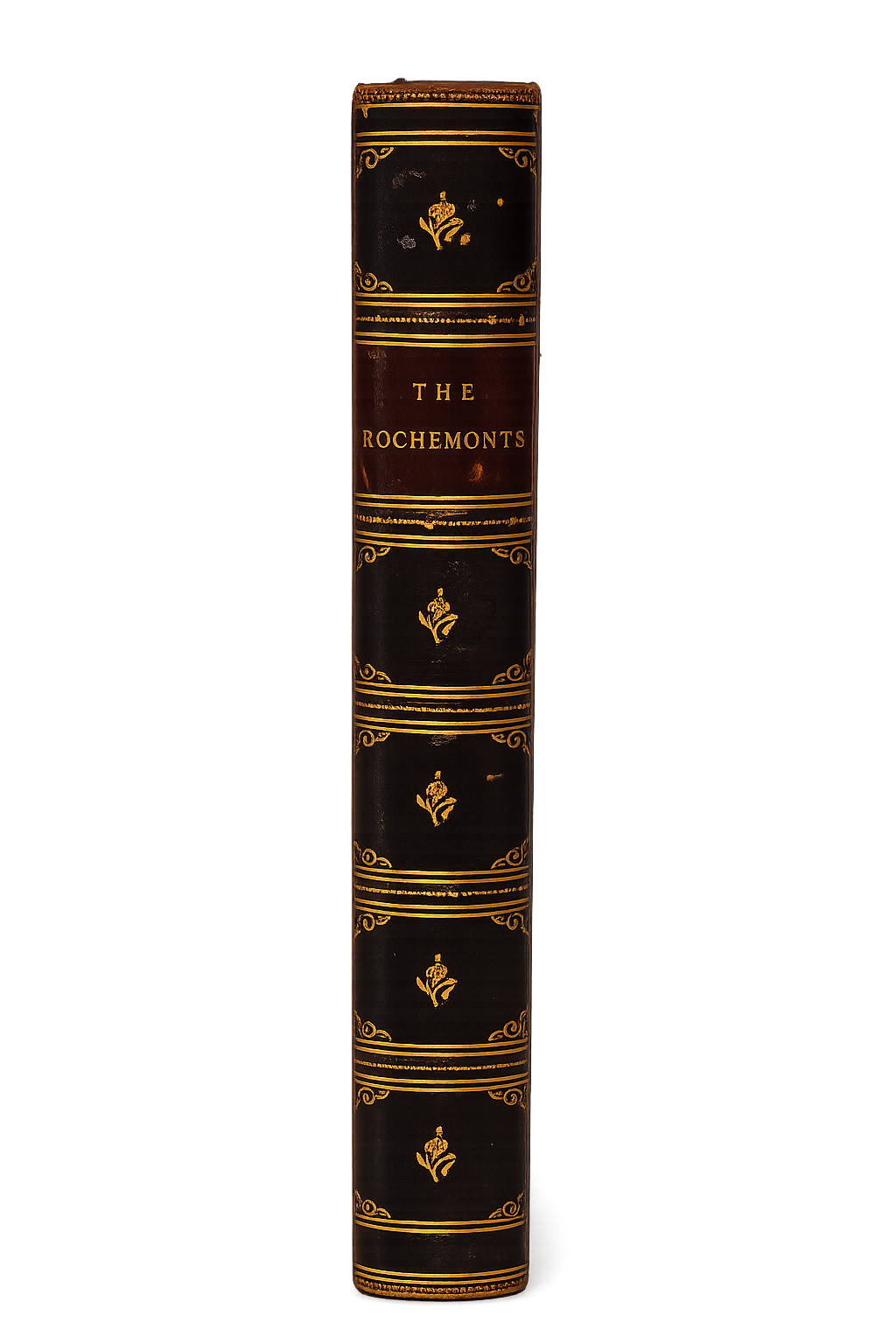 1889 The Rochemonts Emma Marshall Fine Leather Binding Gilt Victorian Novel
