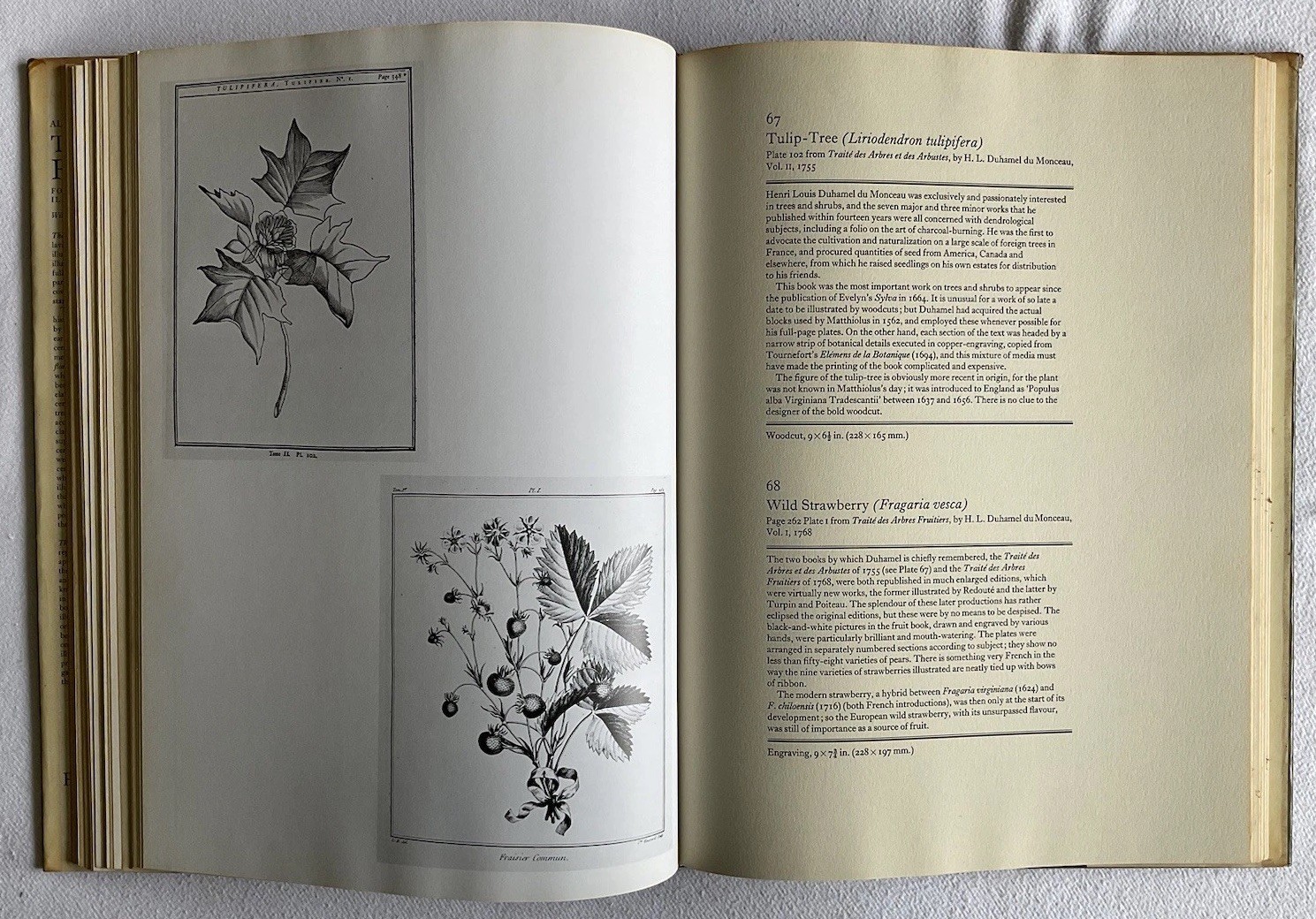 Collectable Vintage The Book of Flowers by Alice M. Coats. Large H/B Book, 1973