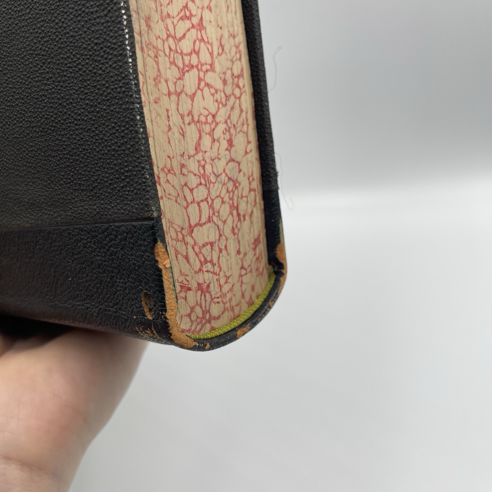 Antique History of the Scandinavians And Biographies US 1904 Nelson Book I-II