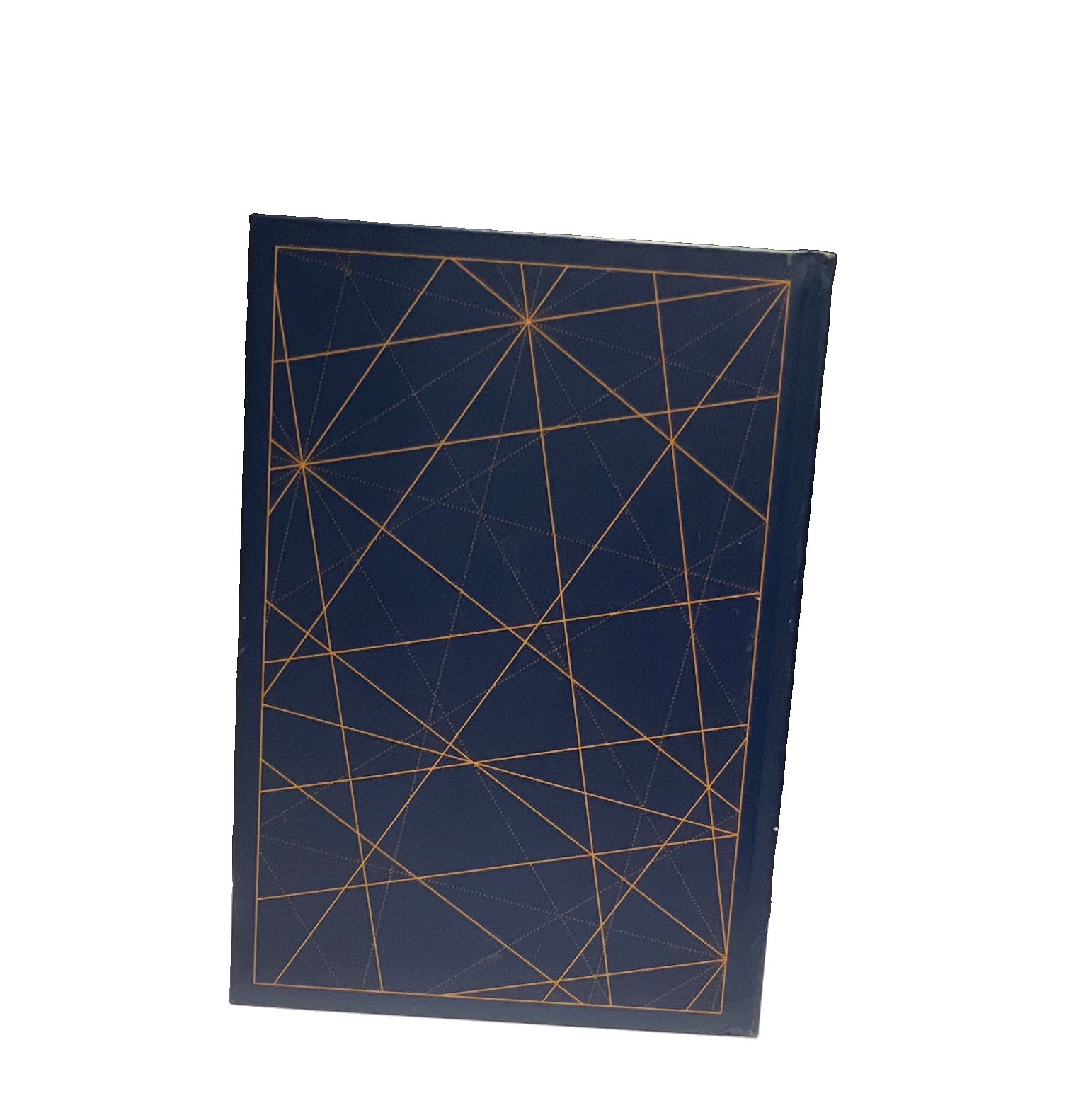 Extraordinary Voyages Louis Vuitton Francisca Matteoli 2021 Hardcover Abrams LN