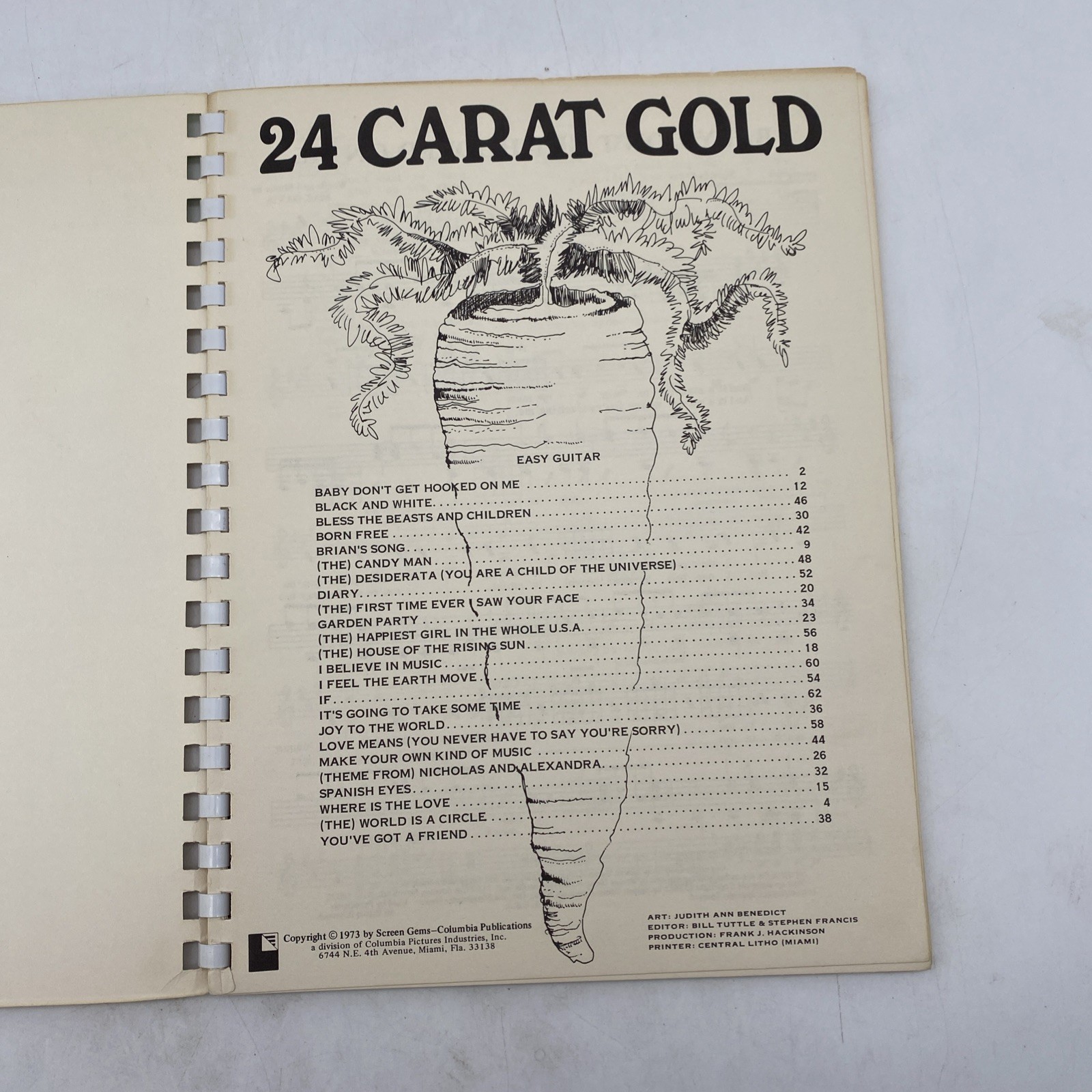 24 Carat Gold Easy Guitar Song Book 1973 Plastic Spiral Paperback
