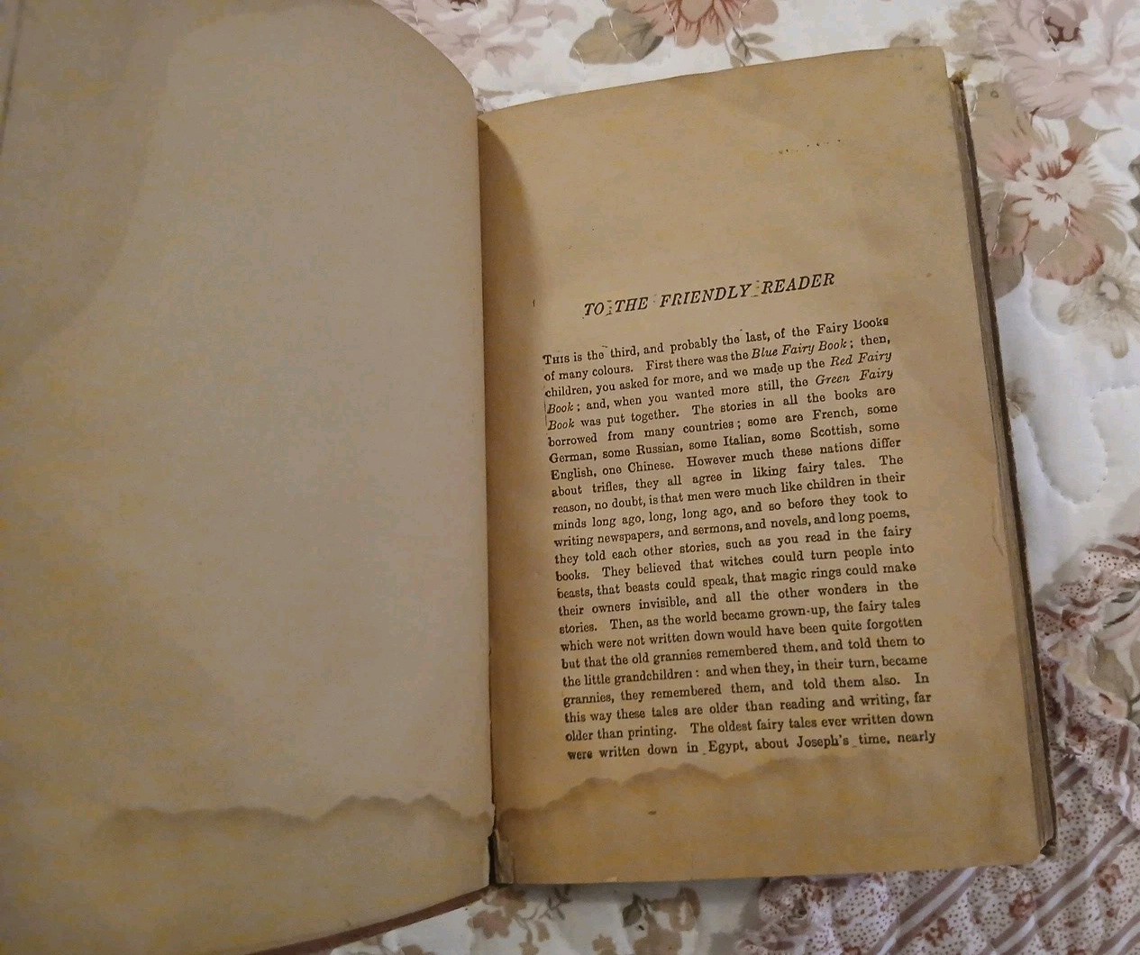 Vintage Green Fairy Book By Andrew Lang Early 1900’s The Companion Books