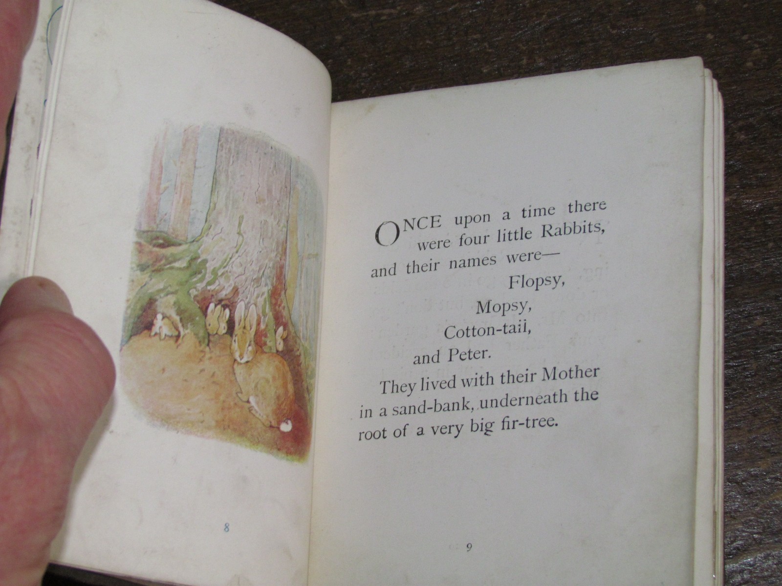 1907 BEATRIX POTTER THE TALE OF PETER RABBIT – very early Frederick Warne ed