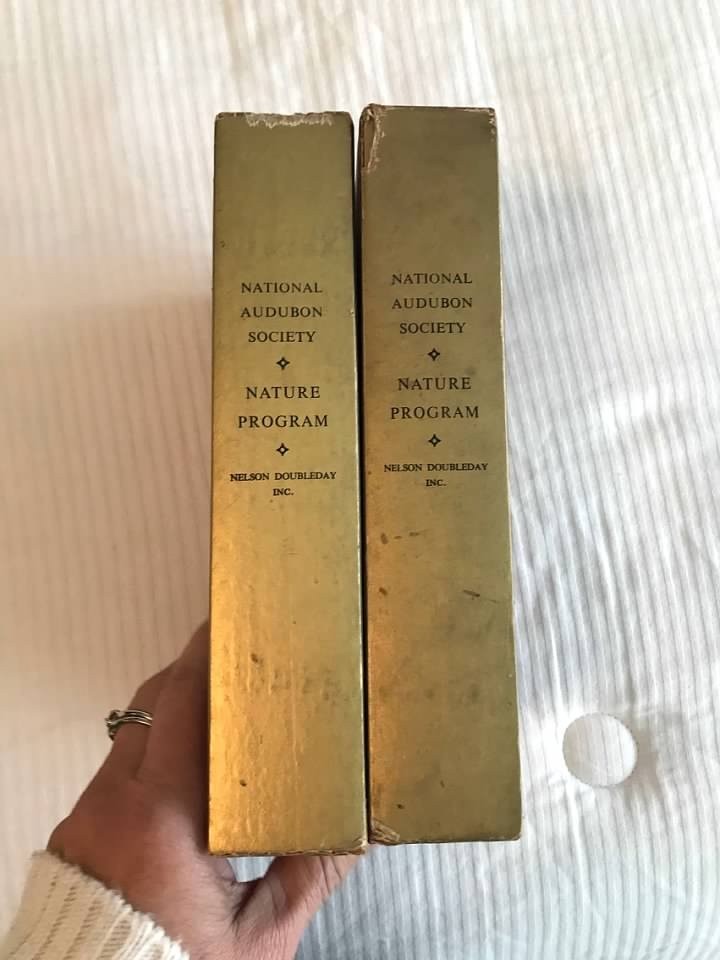 BOOKS: 1955 National Audubon Society Nature Program Box Sets of 7 Books
