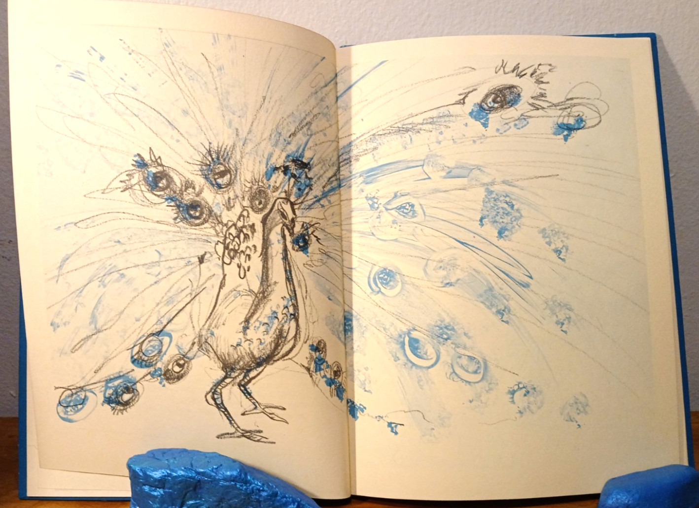 Vintage Book Suki & the Invisible Peacock Joyce Blackburn 1965