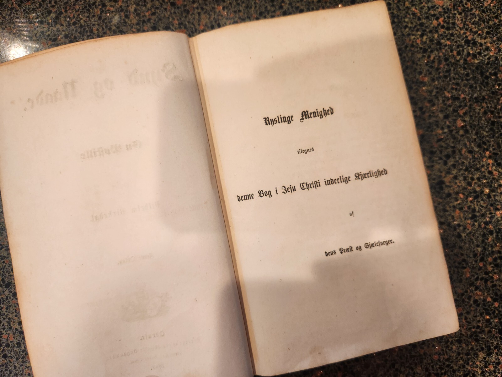 1869 Vilhelm Birkedal Synd og Naade DUTCH VINTAGE RARE BIBLE ONE OF A KIND #Y