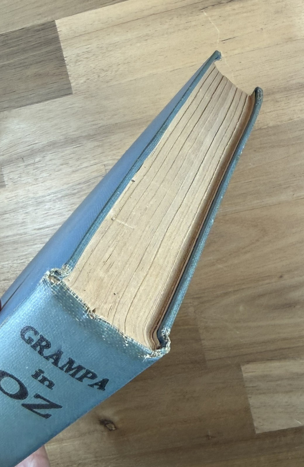 Grampa In Oz c. 1924 – Ruth Plumly Thompson – Wizard of Oz – L. Frank Baum