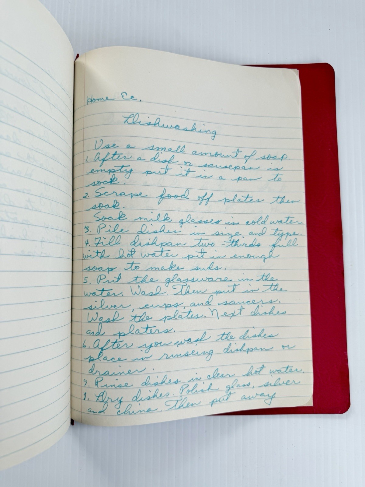 Vintage 1954-55 Home Economics Binder With Recipes & Notes Hand Written Cookbook