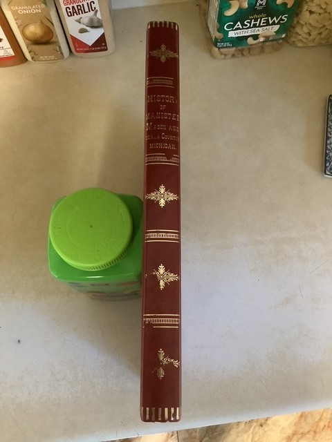 Michigan History Manistee County Mason Oceana 1882 Biographies Illustrations