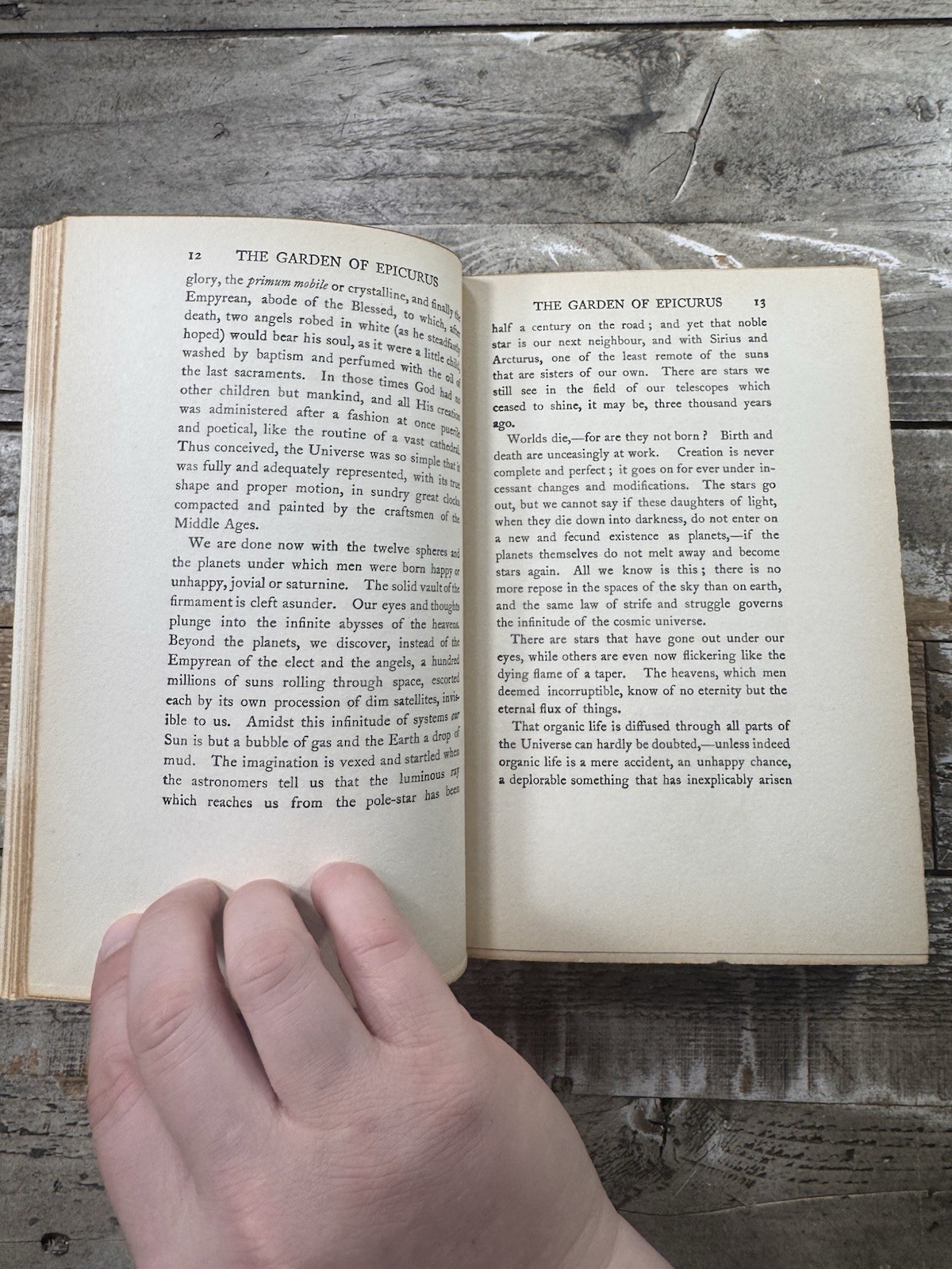 1922 Antique Novel “The Garden of Epicurus” Anatole France, Fine Binding