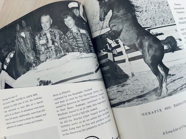 Arabian Horse Yearbook 1963 IAHA Vol Xl Arabian Horse Books / Memorabilia