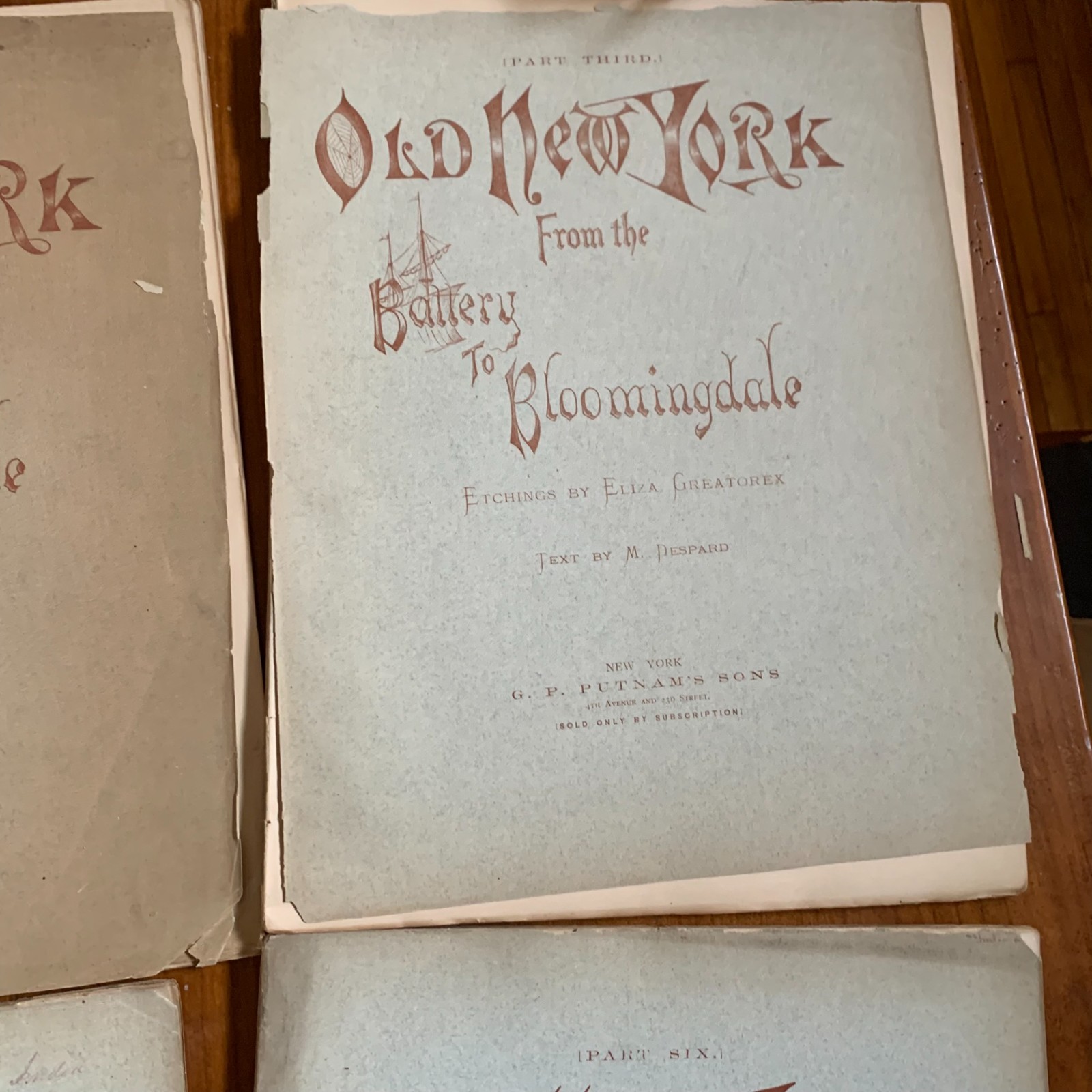 1875 Old New York From Battery to Bloomingdale Etchings Manhattan