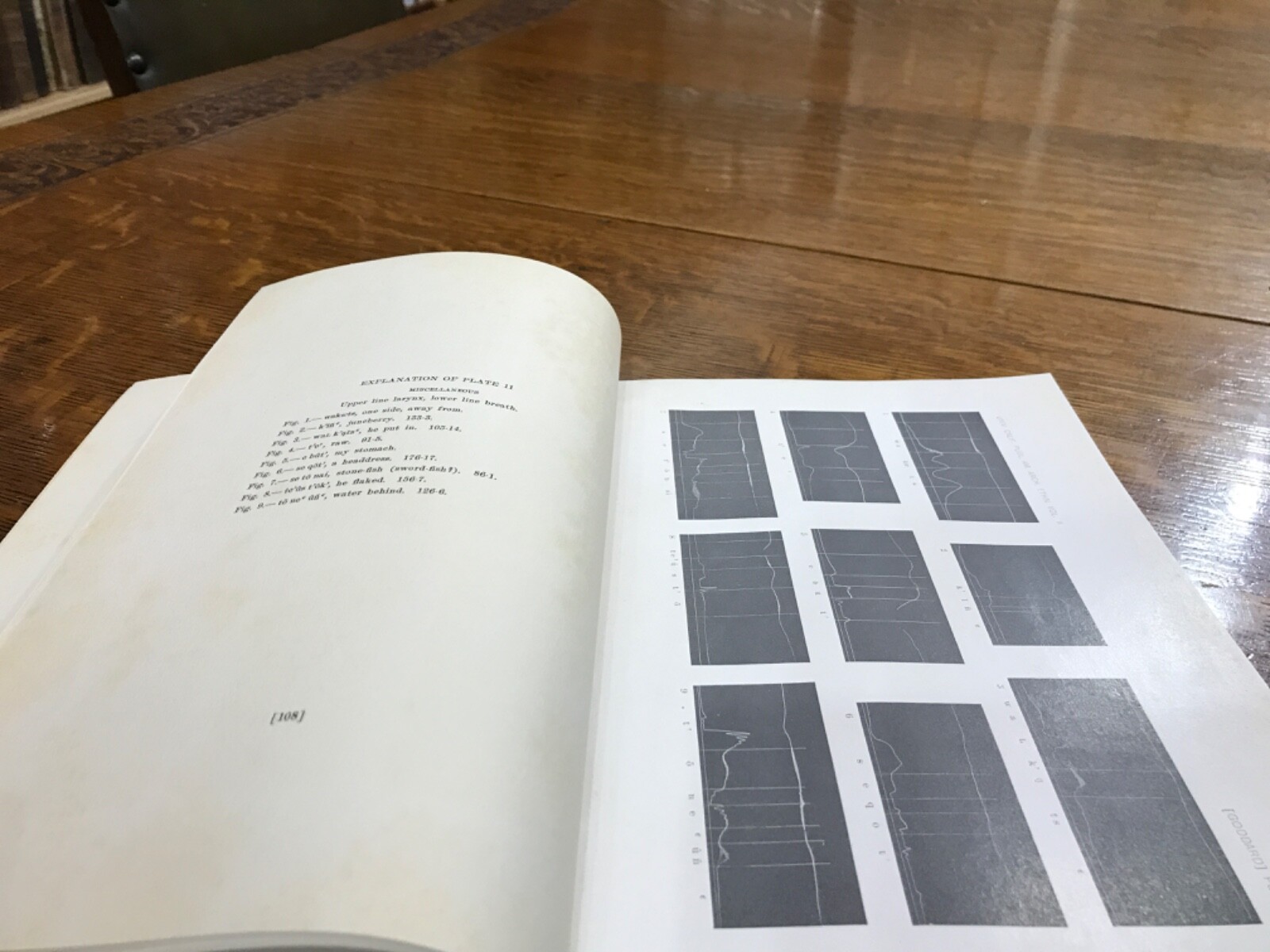 1912 Elements of the Kato Language Pliny Earle Goddard Illustrations