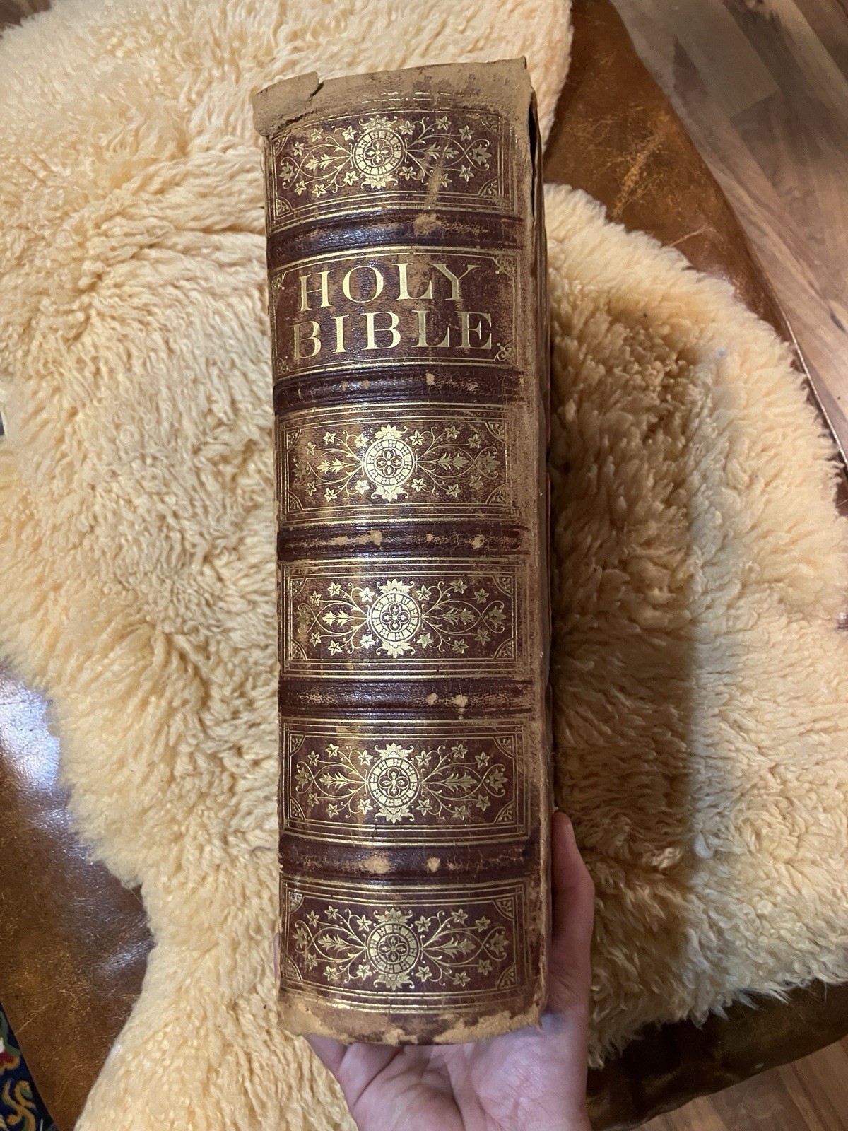1875 Antique Embossed Leather Holy Bible Victorian 19th Century Illustrated