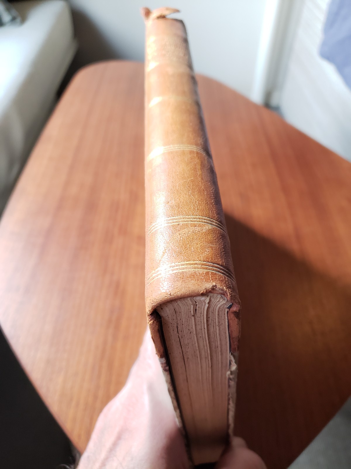 Dictionnaire des Poinçons 1929 Dictionary French Silver Marks Beuque Frapsauce
