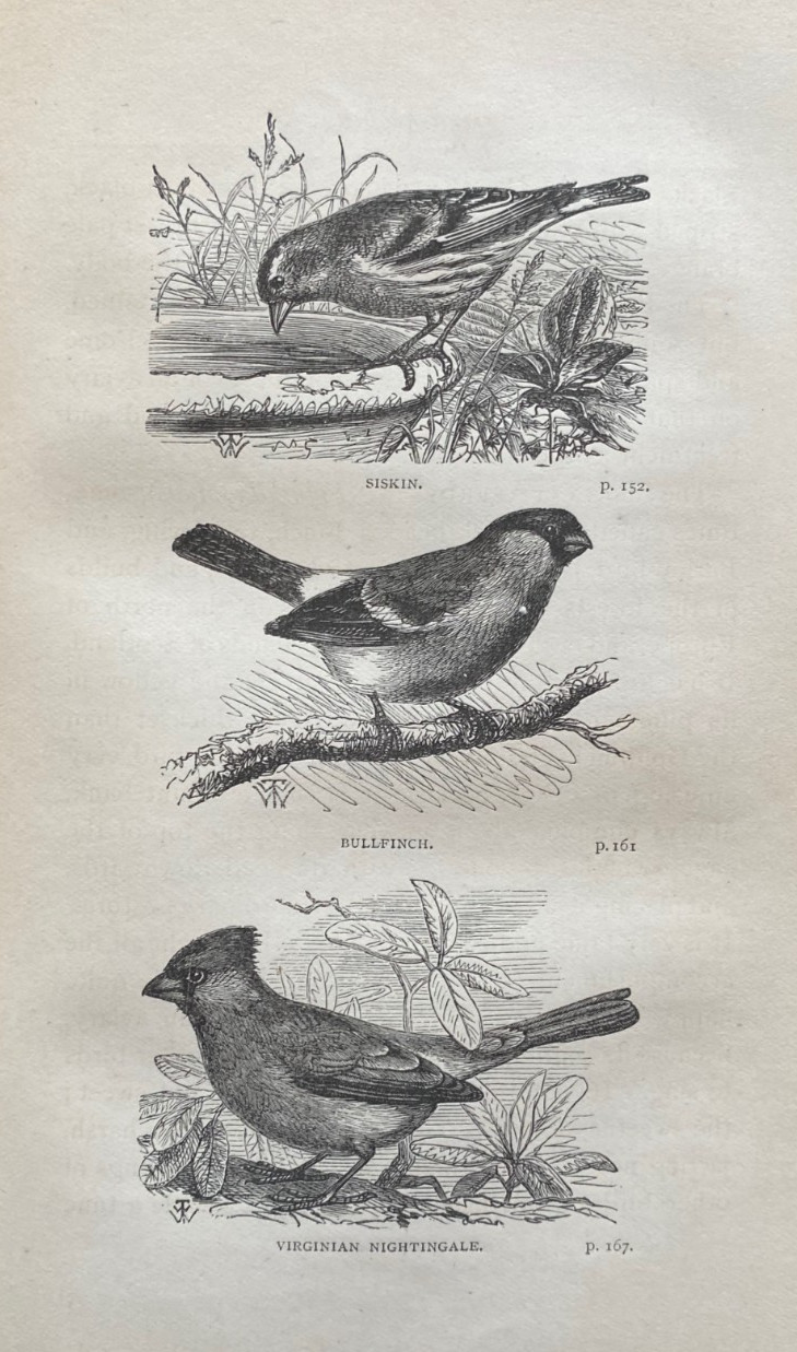 1889 BIRD KEEPING, DYSON, COLOR PLATES, COMPLETE, ORNATE BINDING, FREE EXPRS W/W