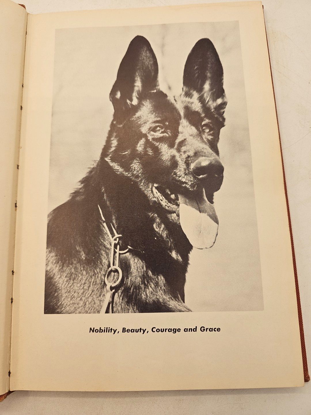 German Shepherd Survey Reports 3 Volumes 1958-1962 Grant Mann Hardcover