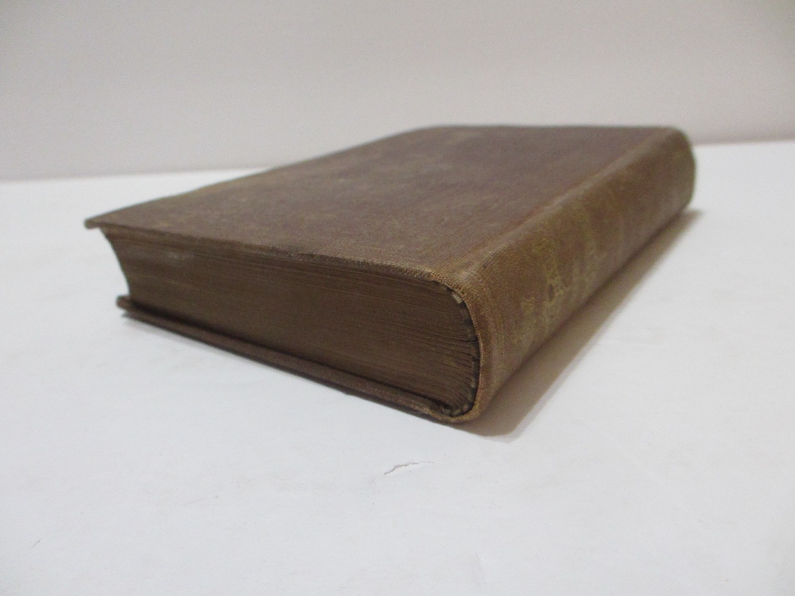 RARE 1866 ANTIQUE BOOK SEA SHELLS FRANK’S SEARCH FOR CONCHOLOGY STUDY ENG PLATES